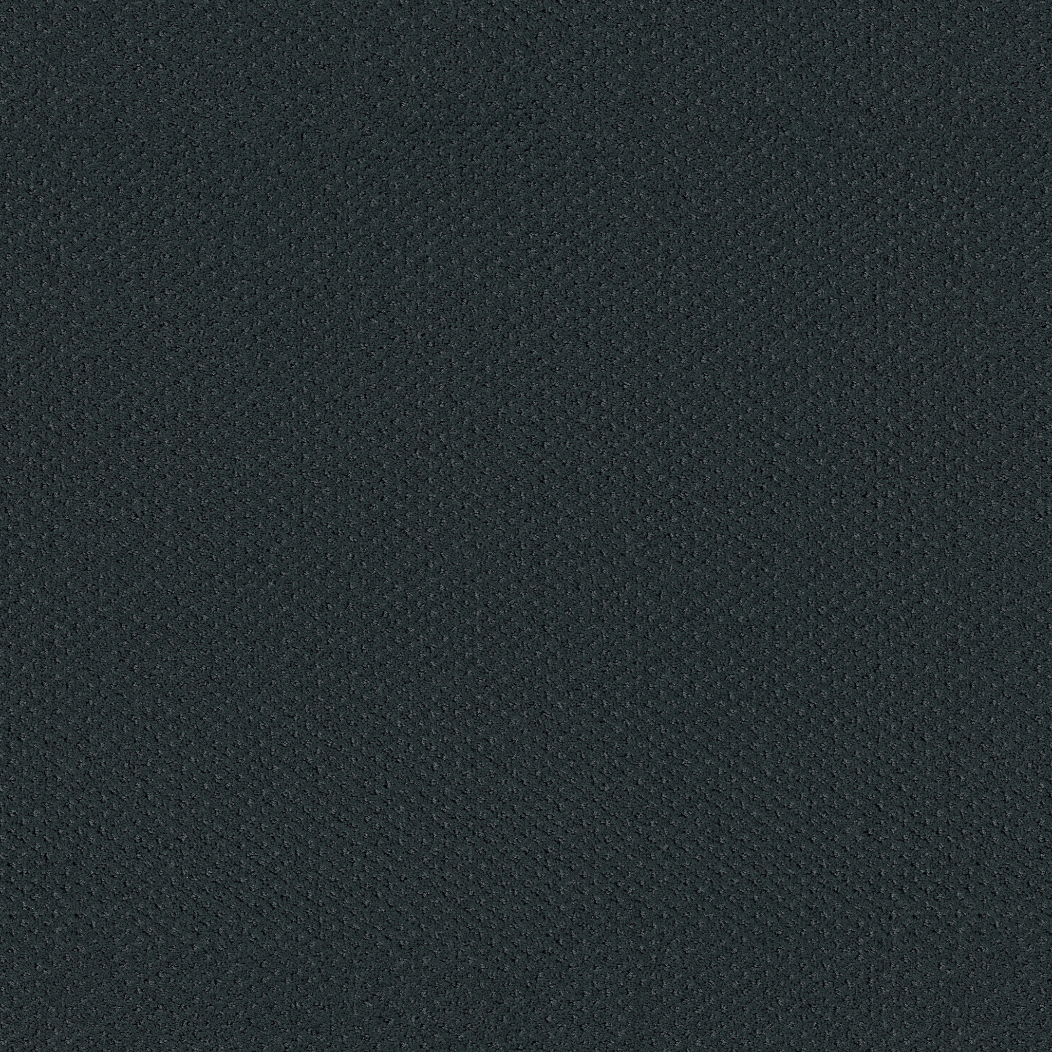 SQUARE ONE INDIGO MAIN