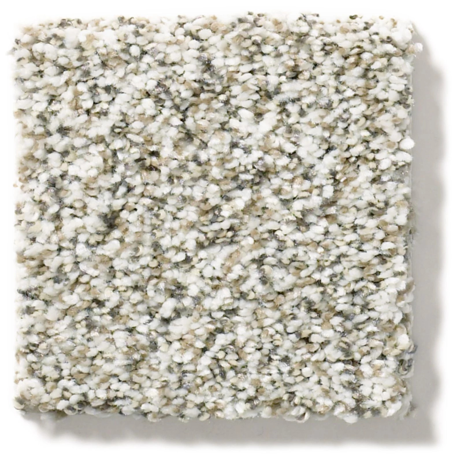 ALL SET I QUARTZ SWATCH