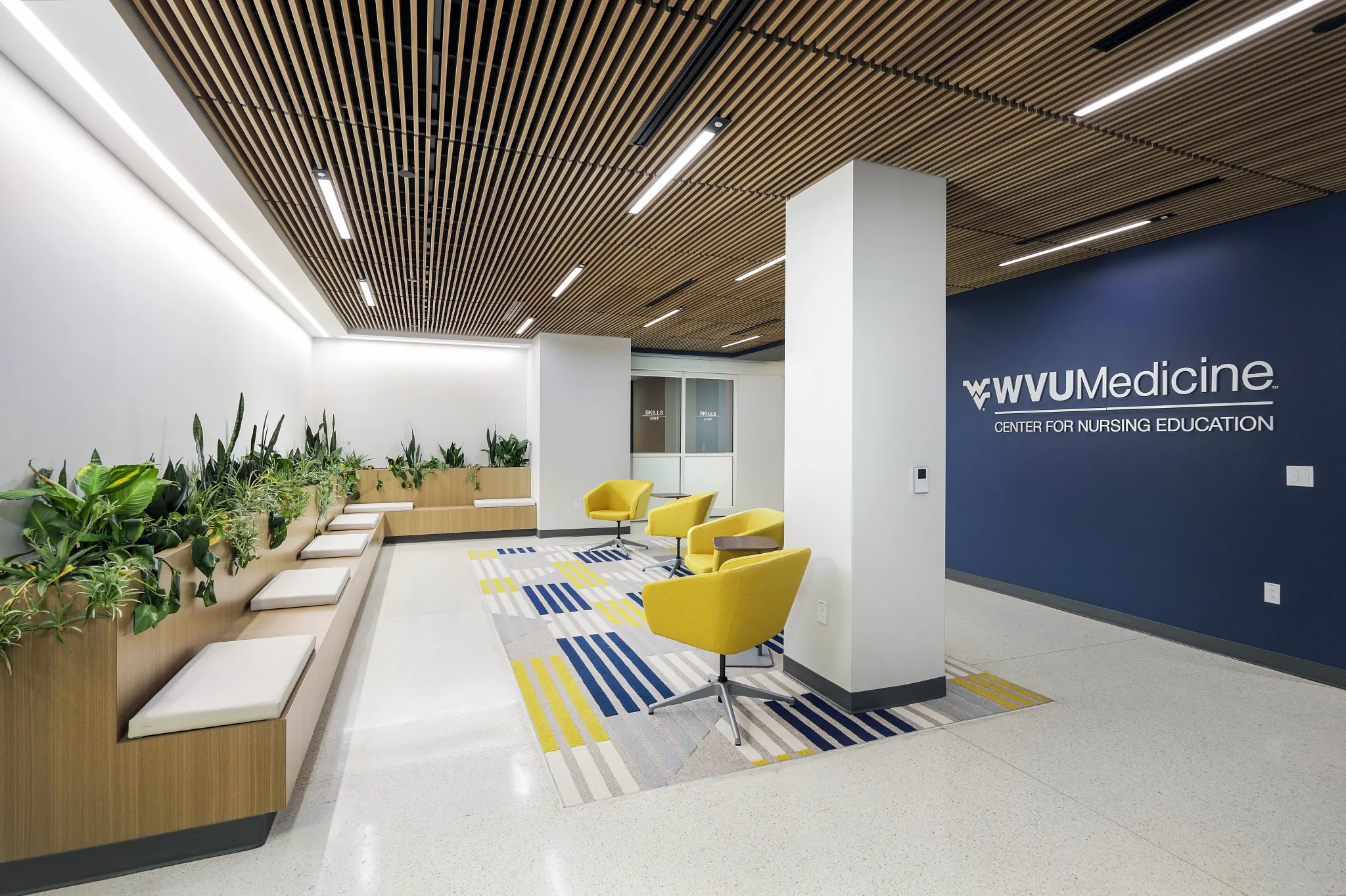 Modern healthcare waiting area with yellow chairs and striped carpet