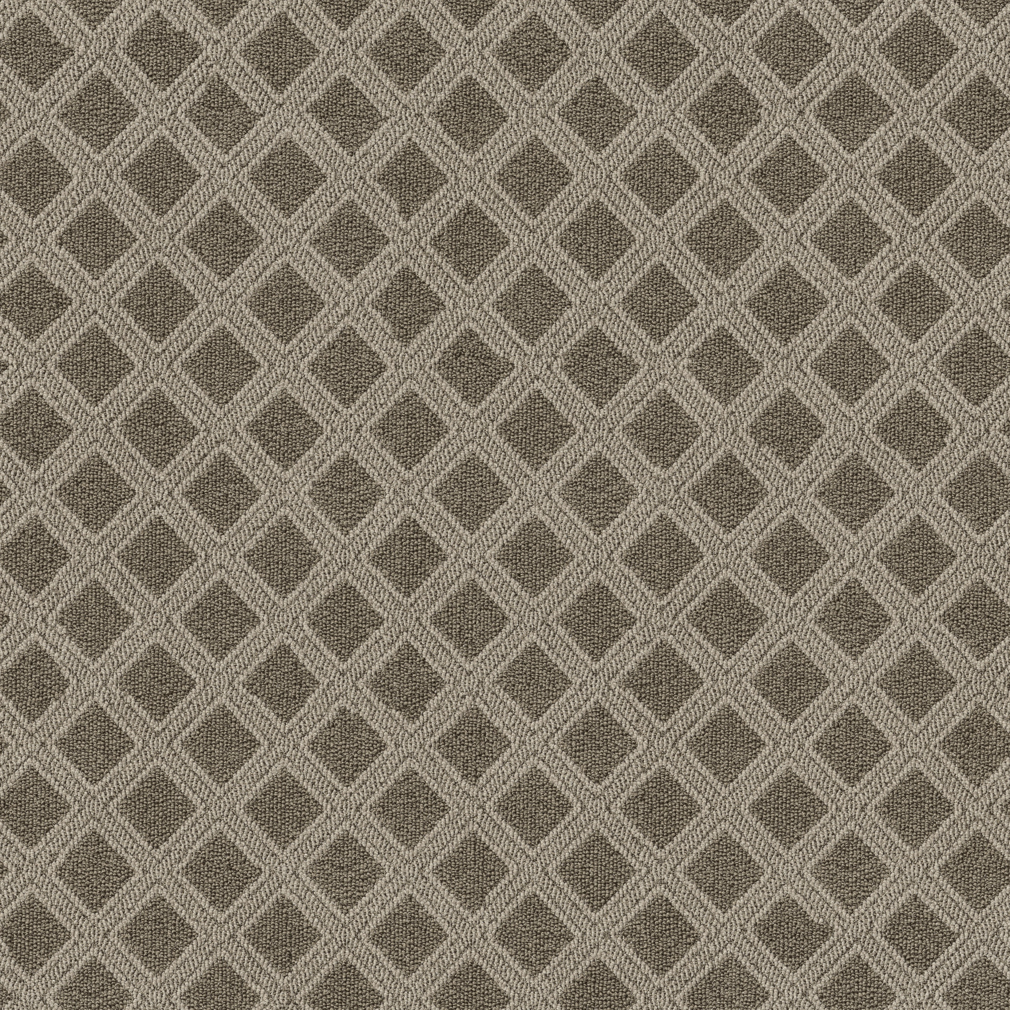 SCOUT DESERT PALM MAIN