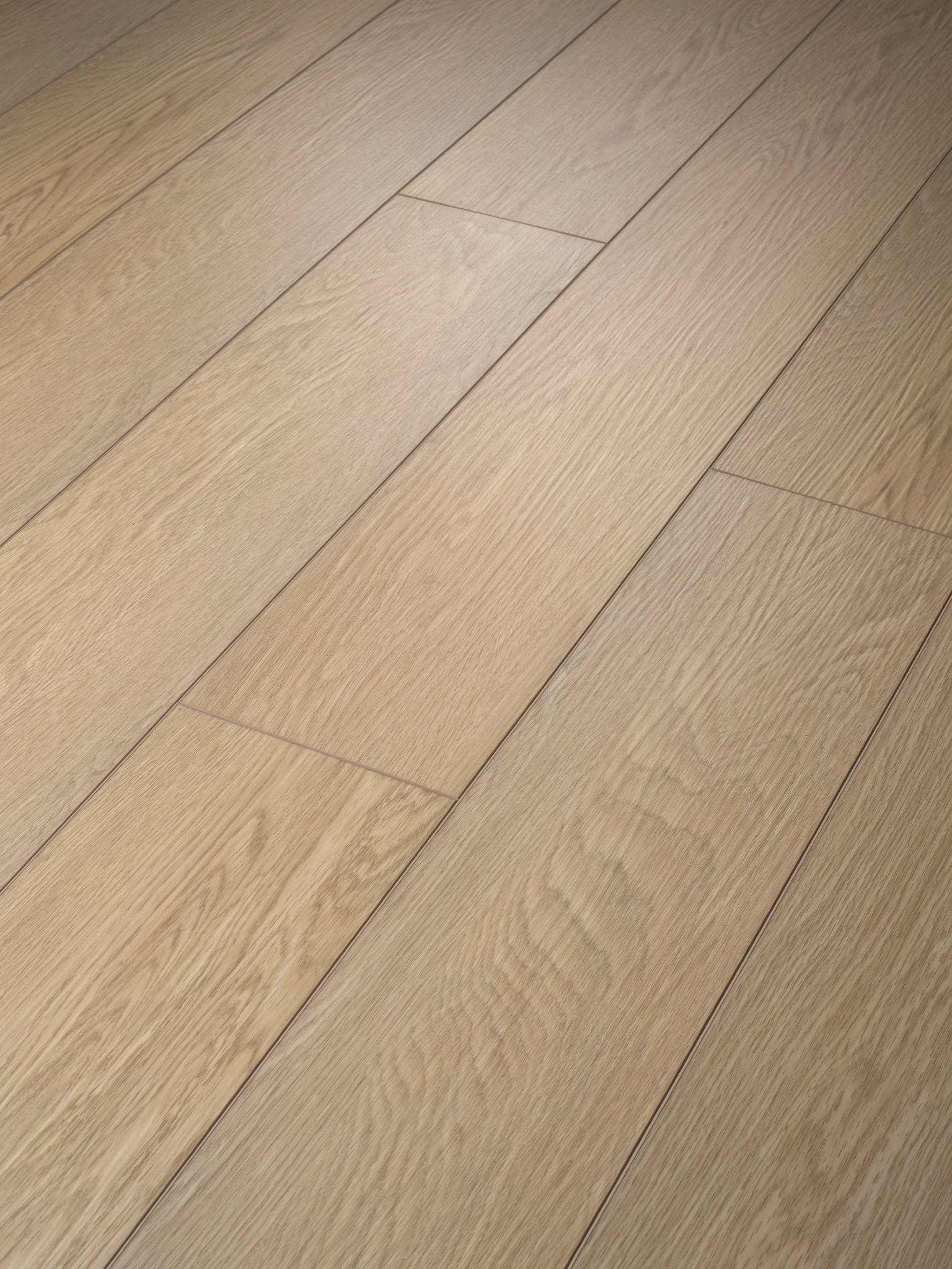 PALADIN PLUS OCEANFRONT ANGLED