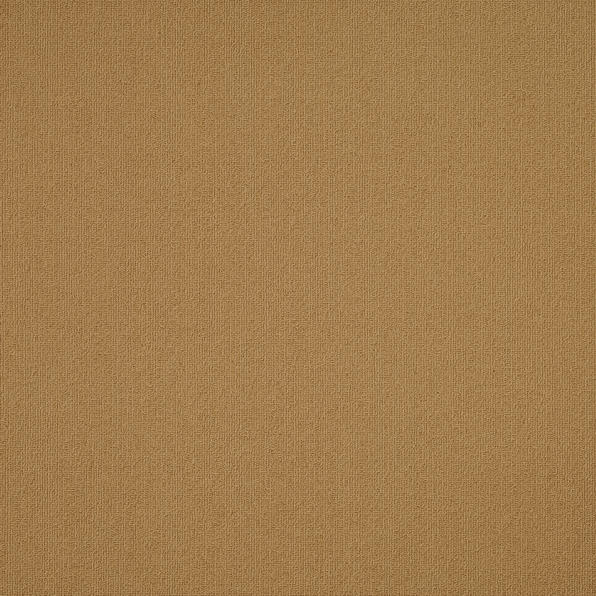 COLOR-ACCENTS-54462-BRASSERIE-62725-main-image