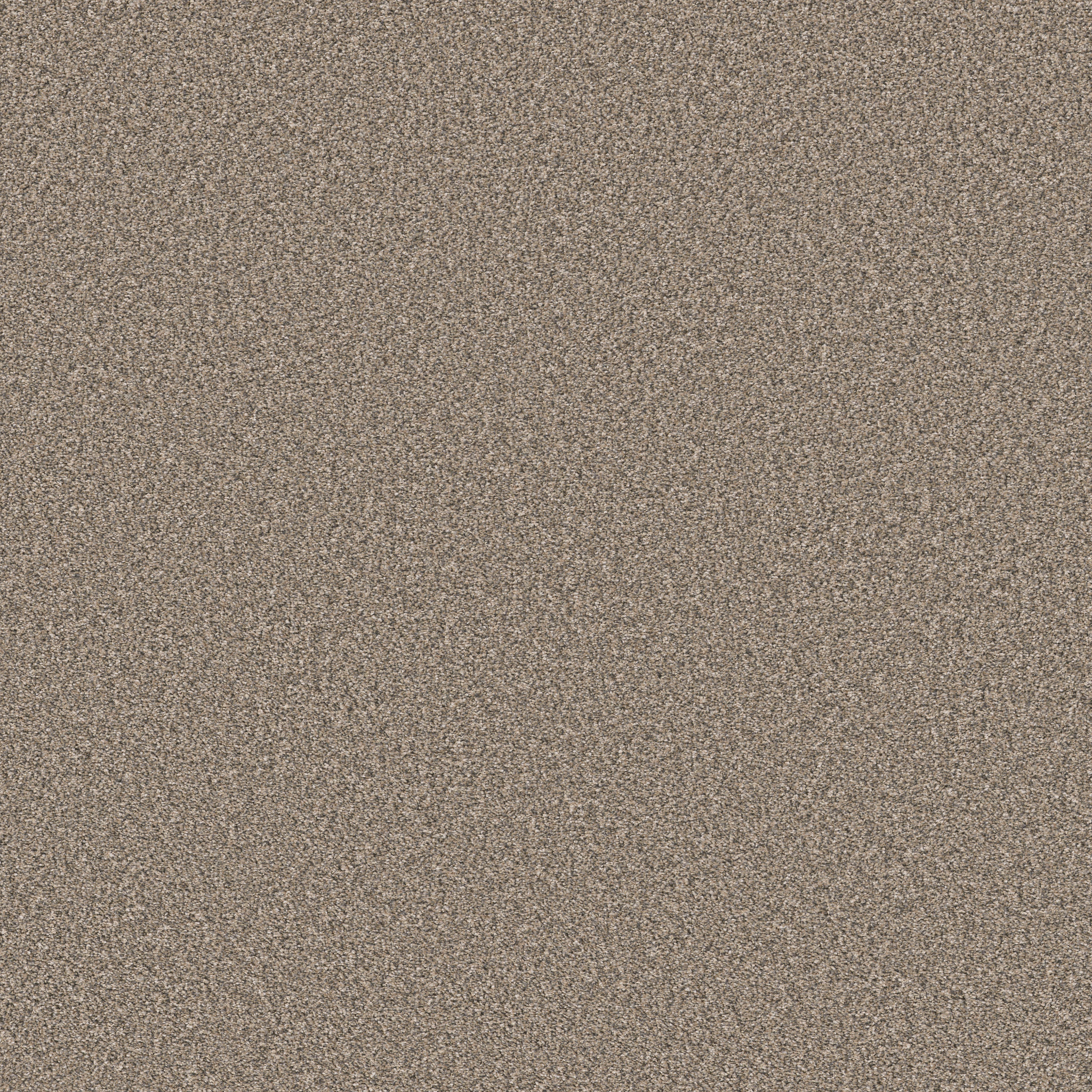 NEW ATTITUDE DESERT DUNE MAIN