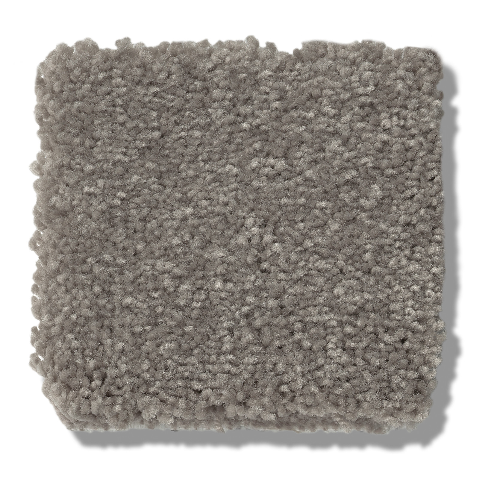 WELL GROUNDED I 15 TREE BARK SWATCH