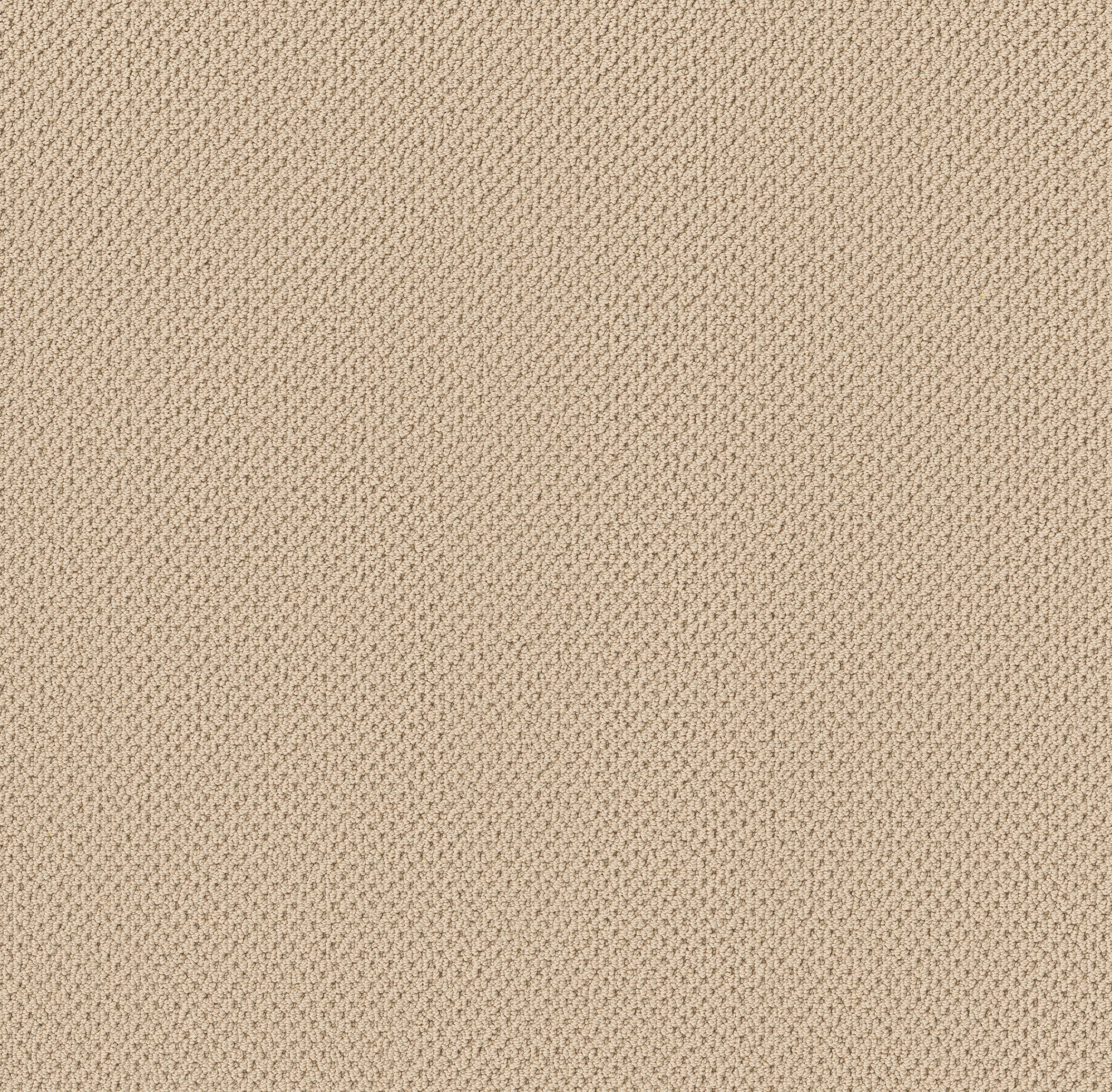 GRACIOUS TREASURE MAIN