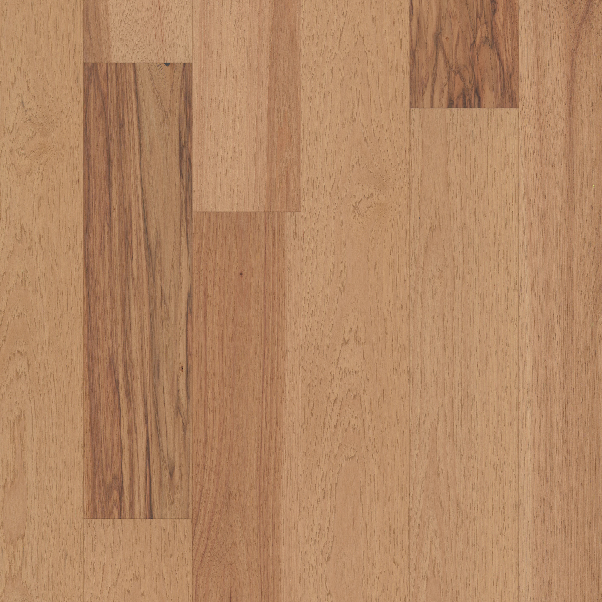 Yukon Maple 6 3/8 - in color Gold Dust | Shaw Floors