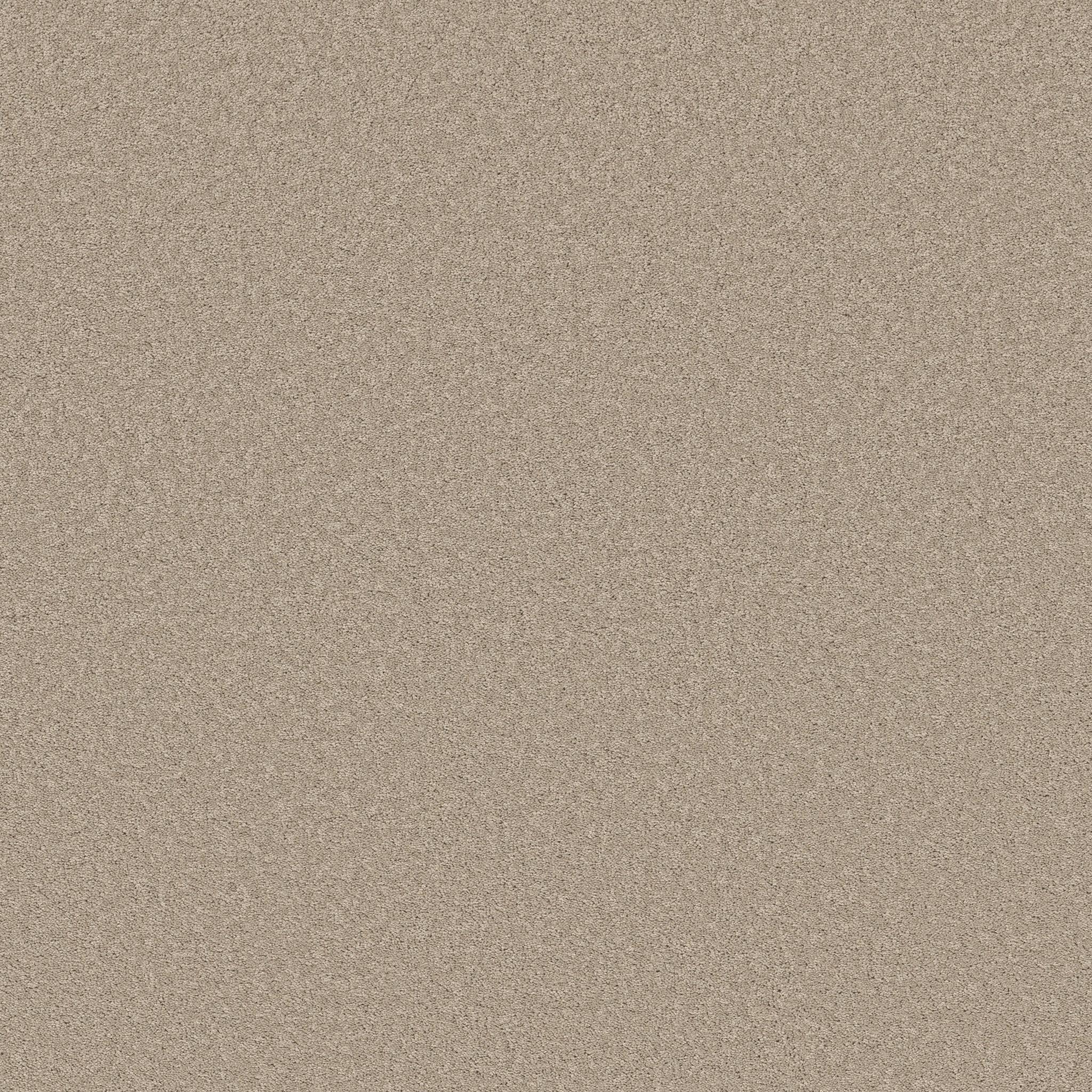 VELVET TOUCH II CHIC GREIGE MAIN