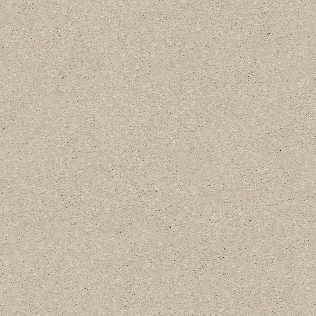 Shaw Floors SOLIDIFY II 15' — BLEACHED