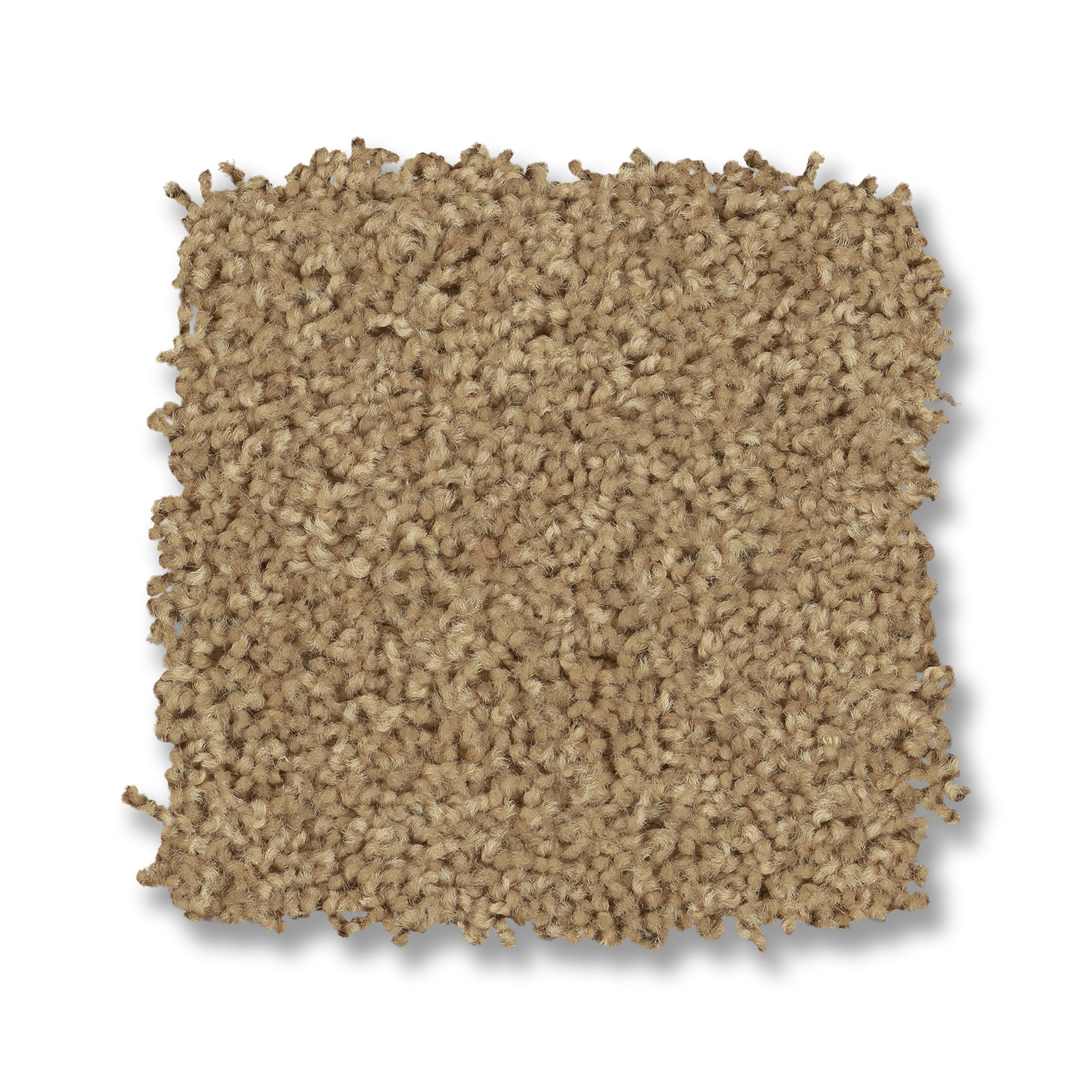 ELLENDALE 12' WILD DUNE SWATCH