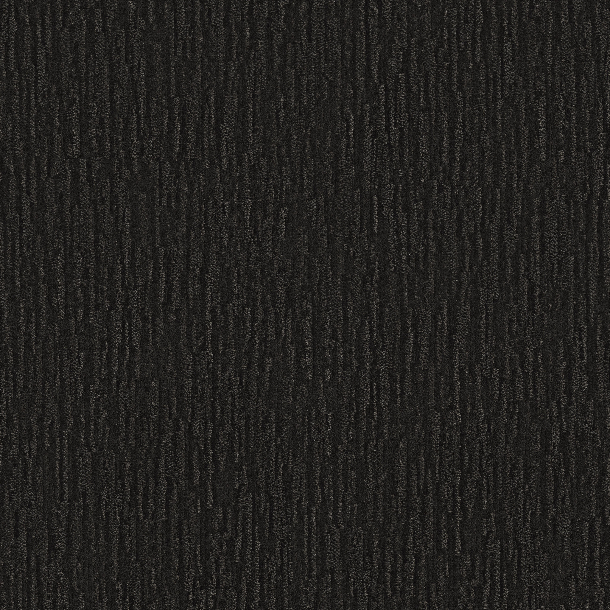 STITCH COASTLINE MAIN