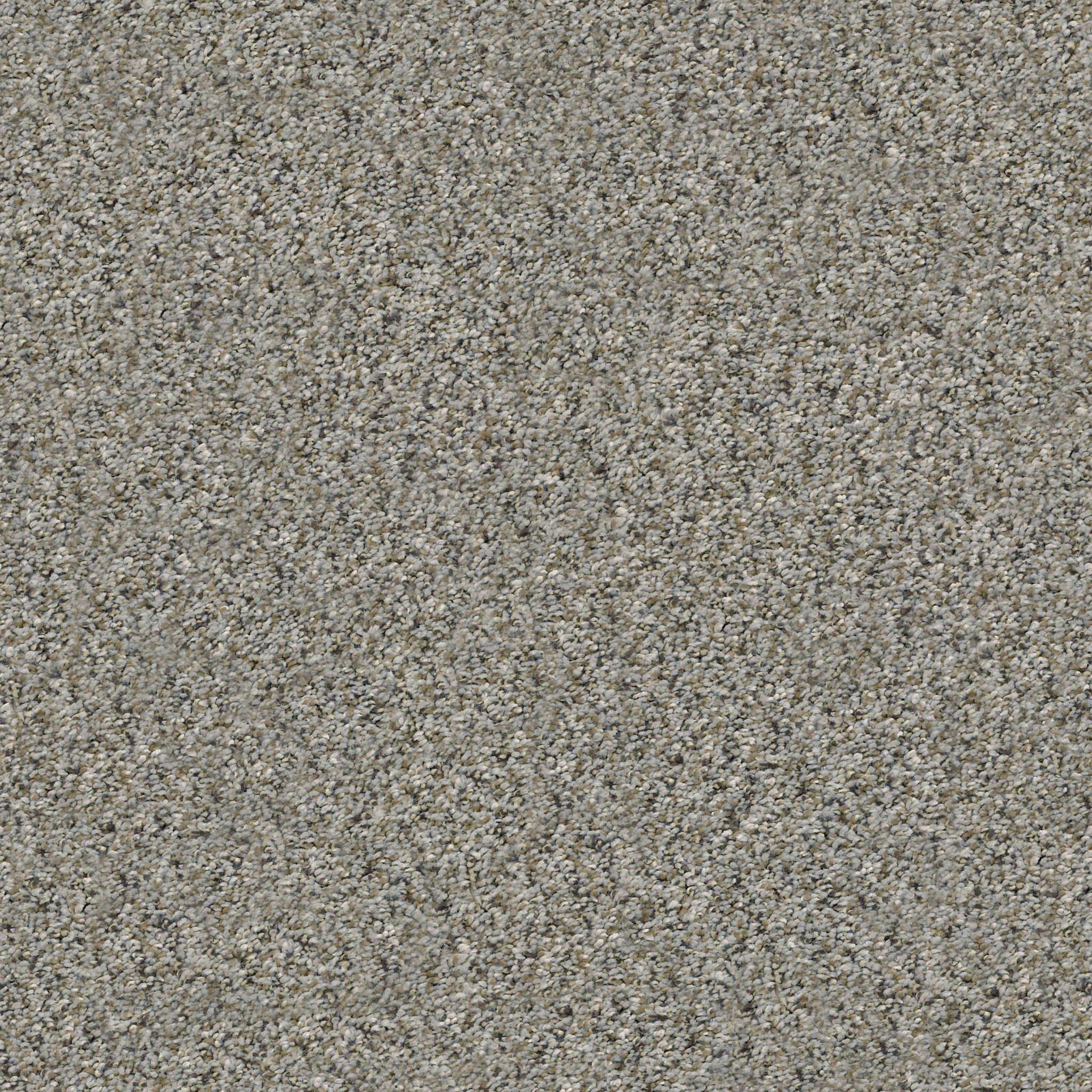 ALL SET II RHINO MAIN