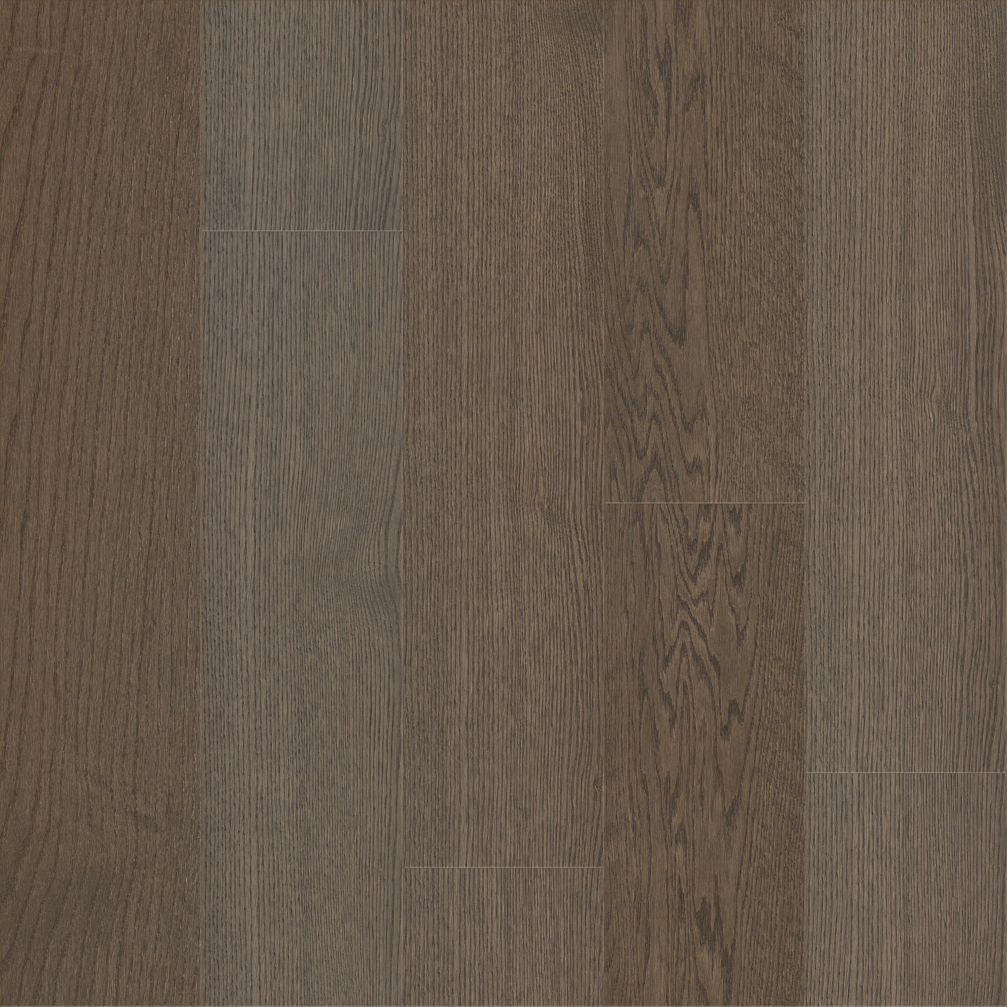 SANCTUARY OAK HEARTH MAIN