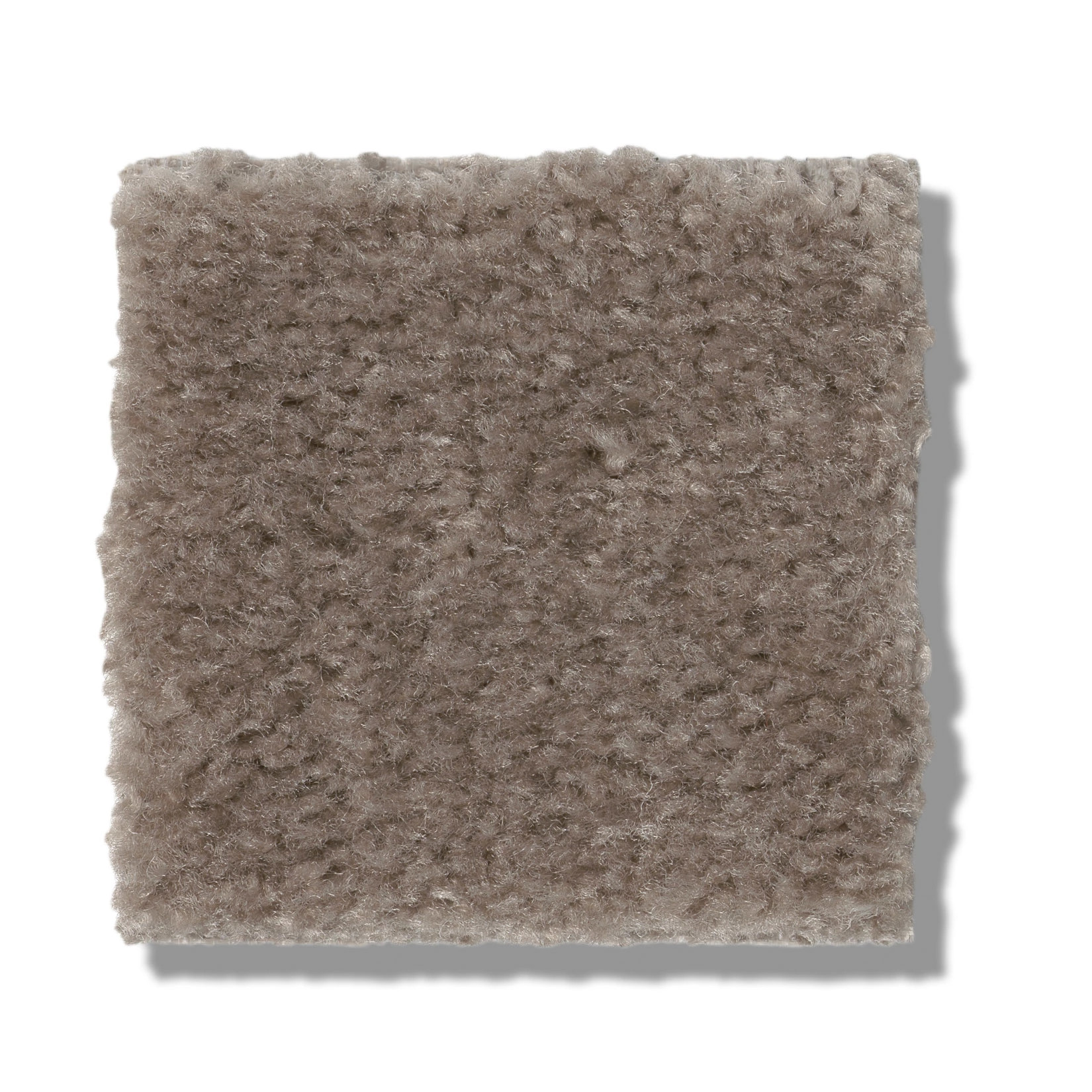 HEROIC CHIC TAUPE SWATCH