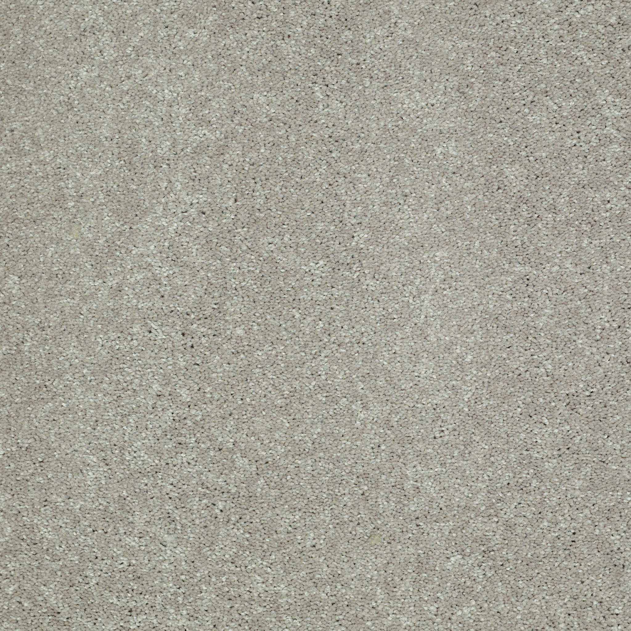 TURN THE PAGE II 12' WILD RICE MAIN