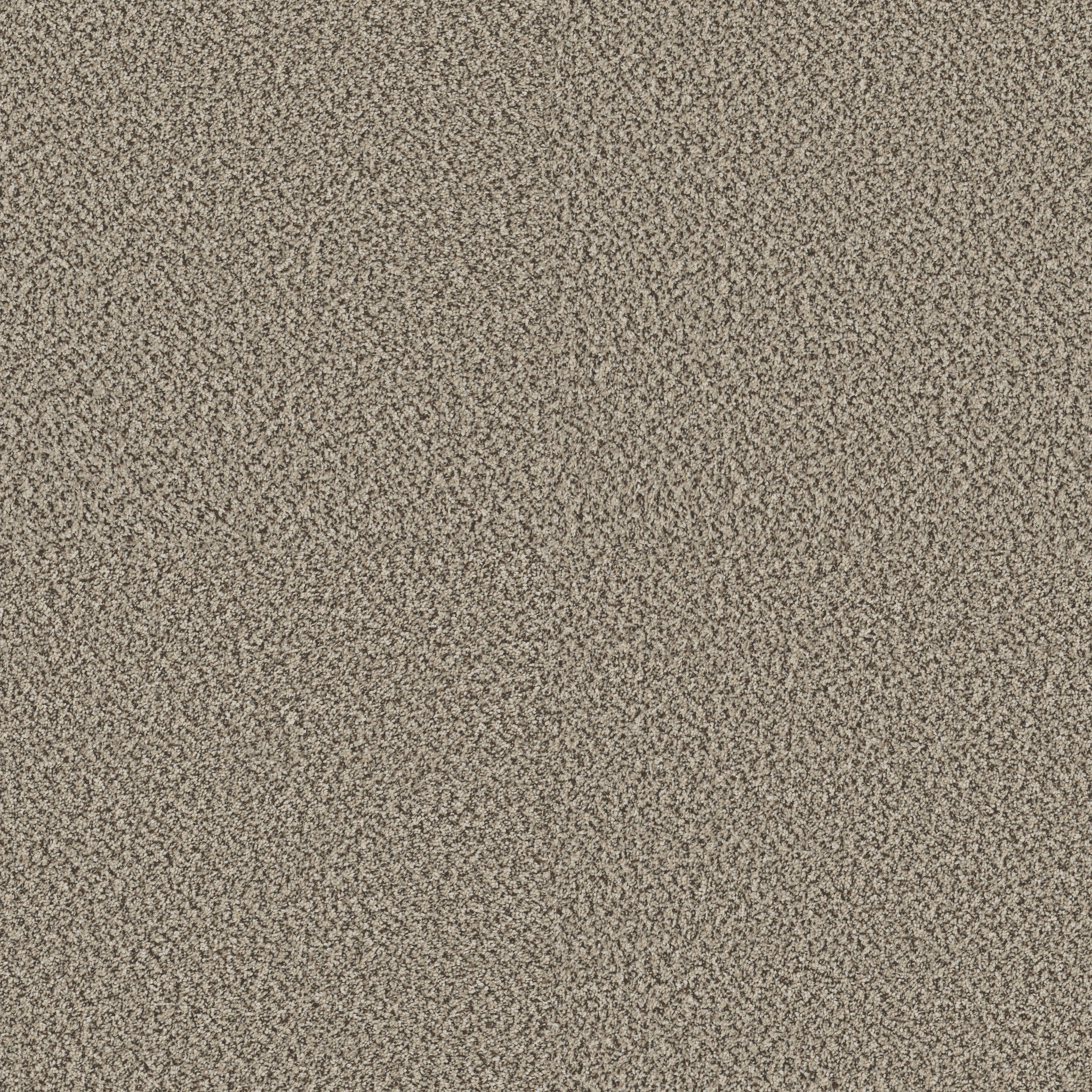 HIGH RANKING B POINT BEACH MAIN