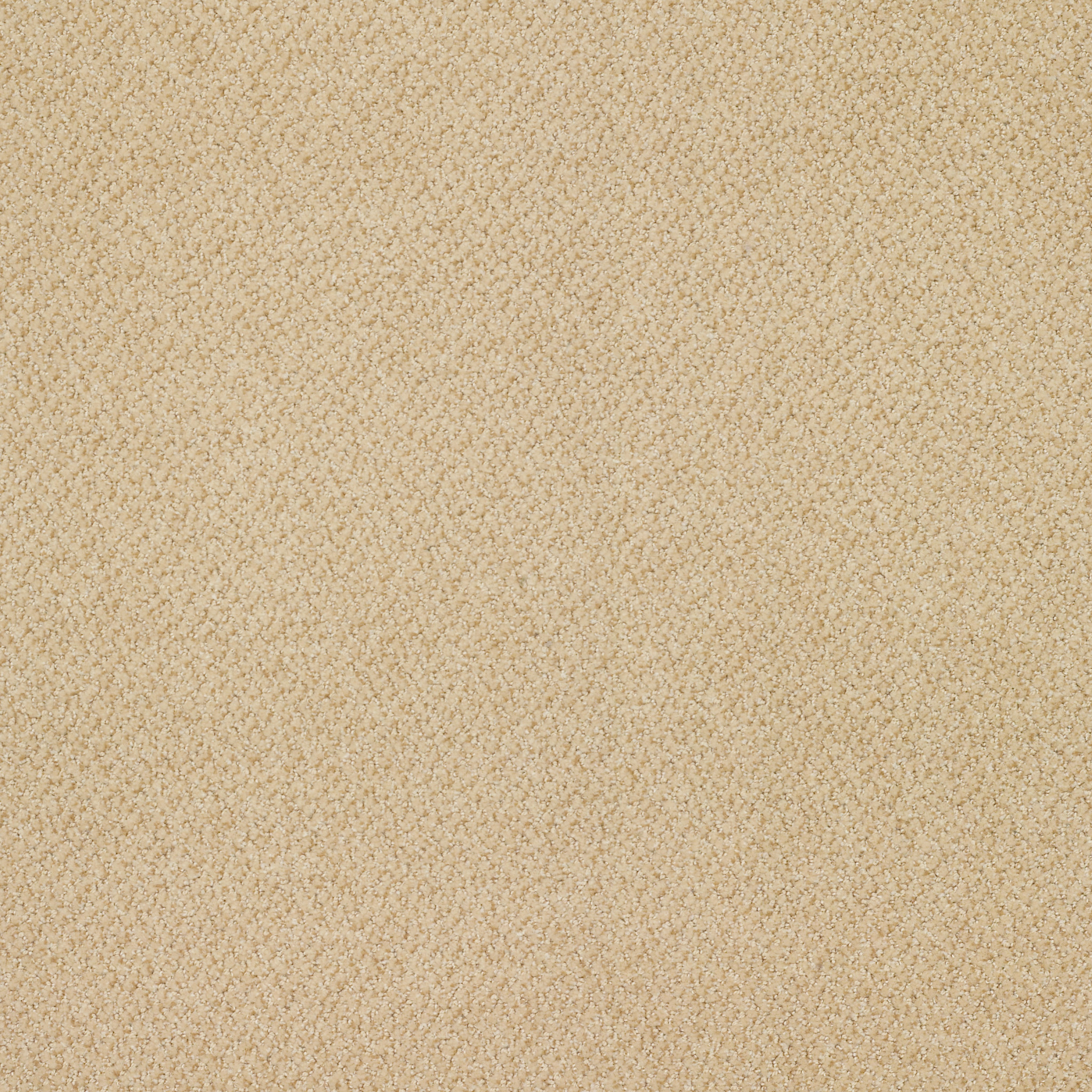 PRESTIGE-J0174-PIZZAZZ-74201-main-image