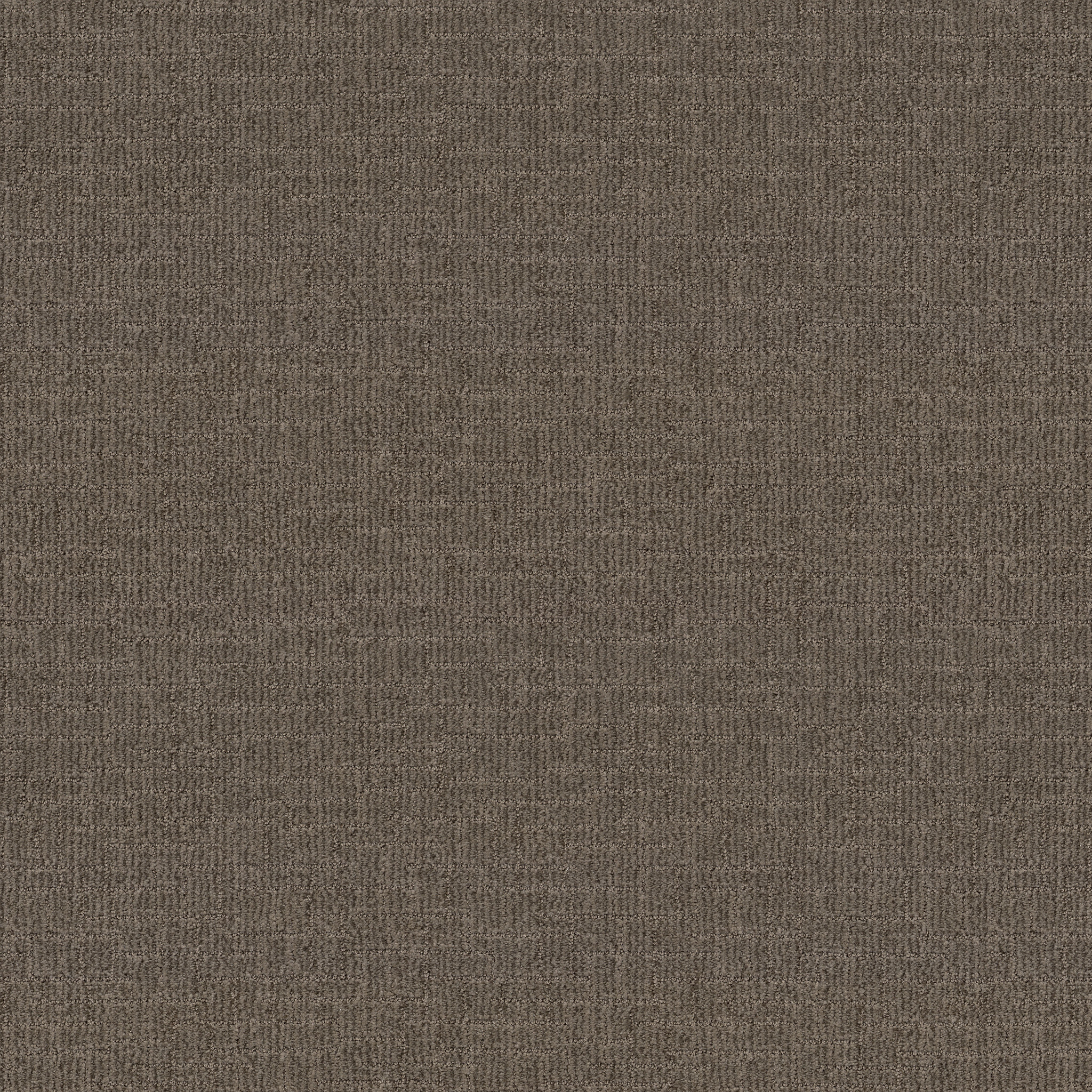 WAYFARER MUSTANG MAIN