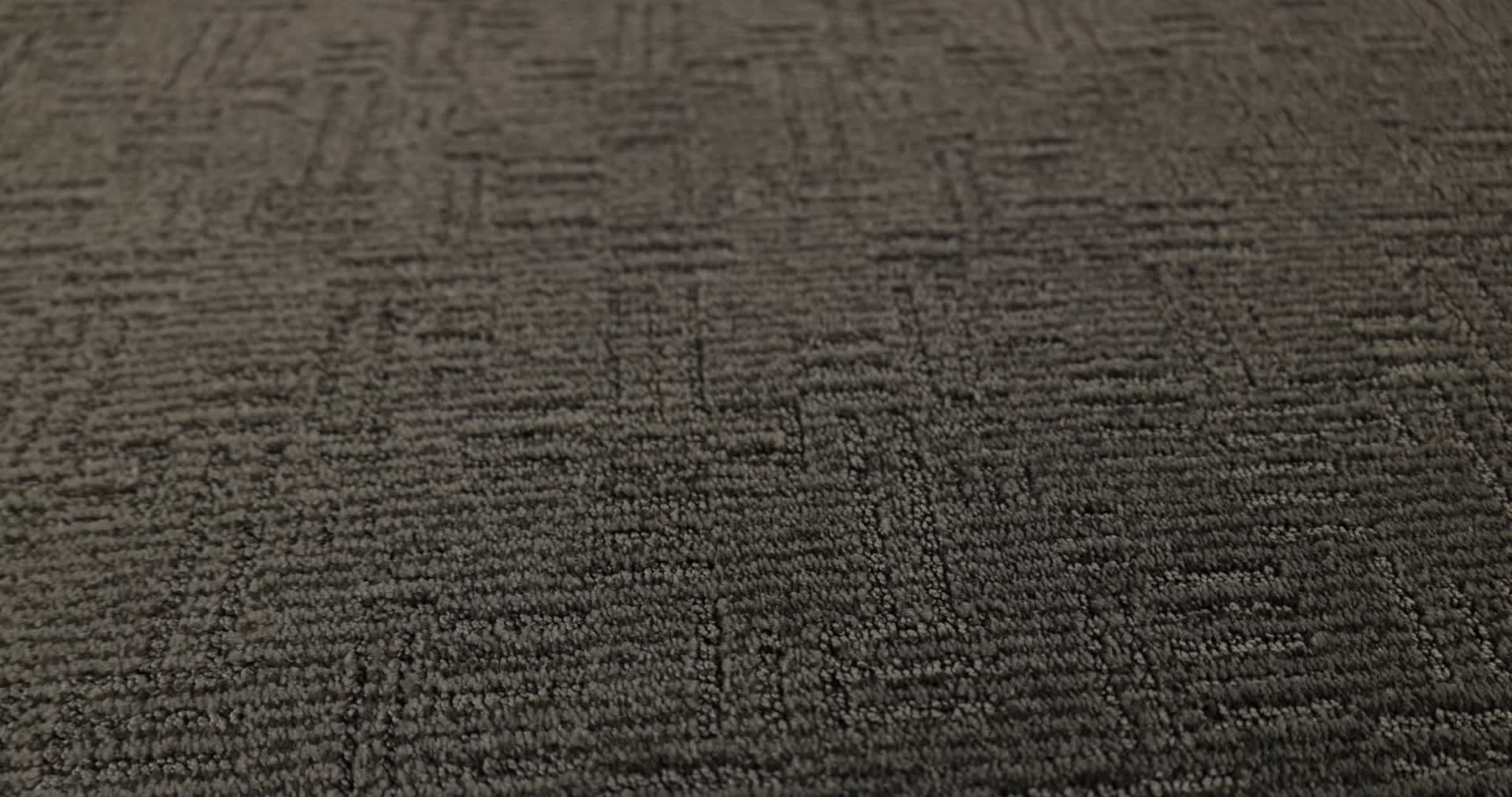 DIEGO STONEWALL 360PROD