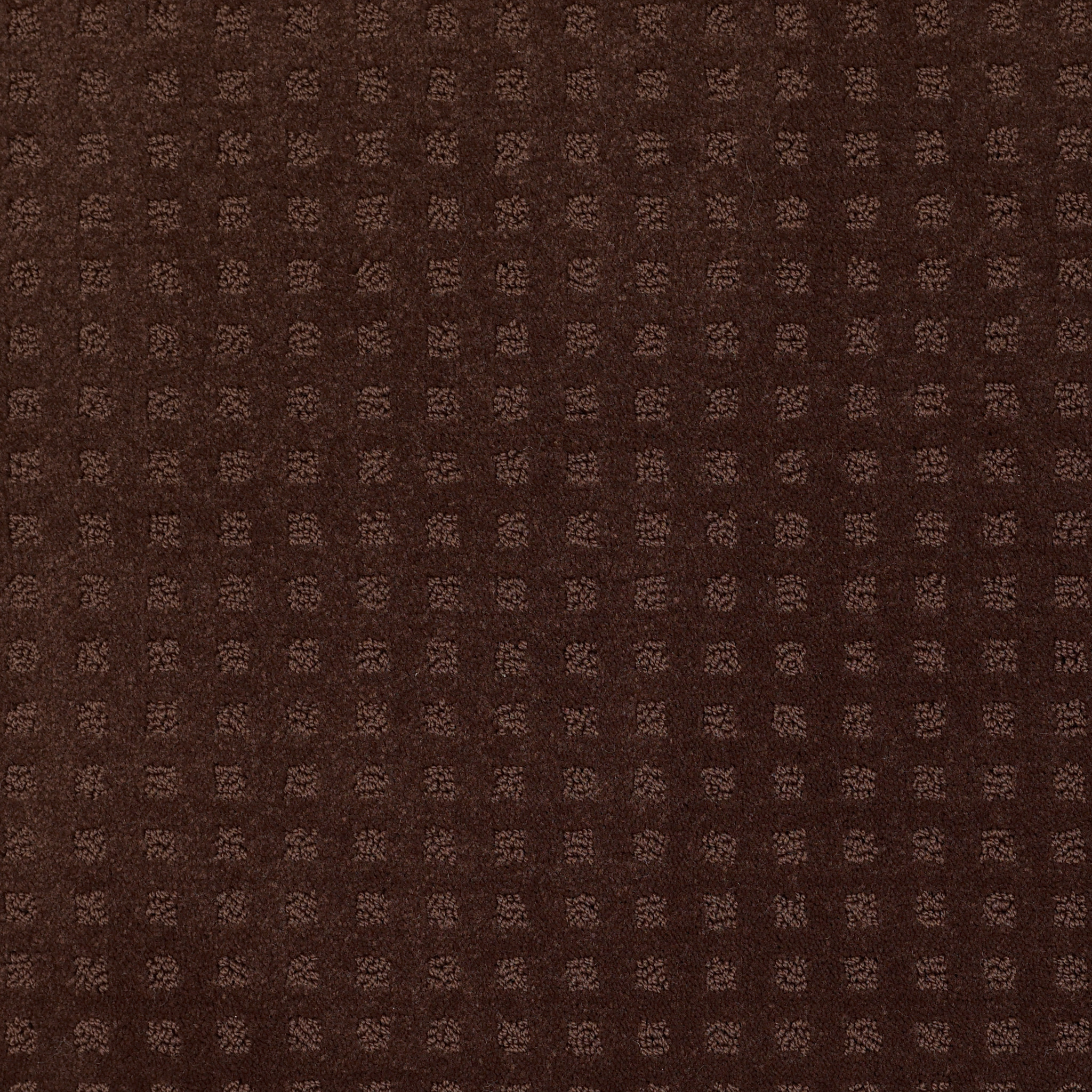 NOTTINGHAM TREE BARK MAIN