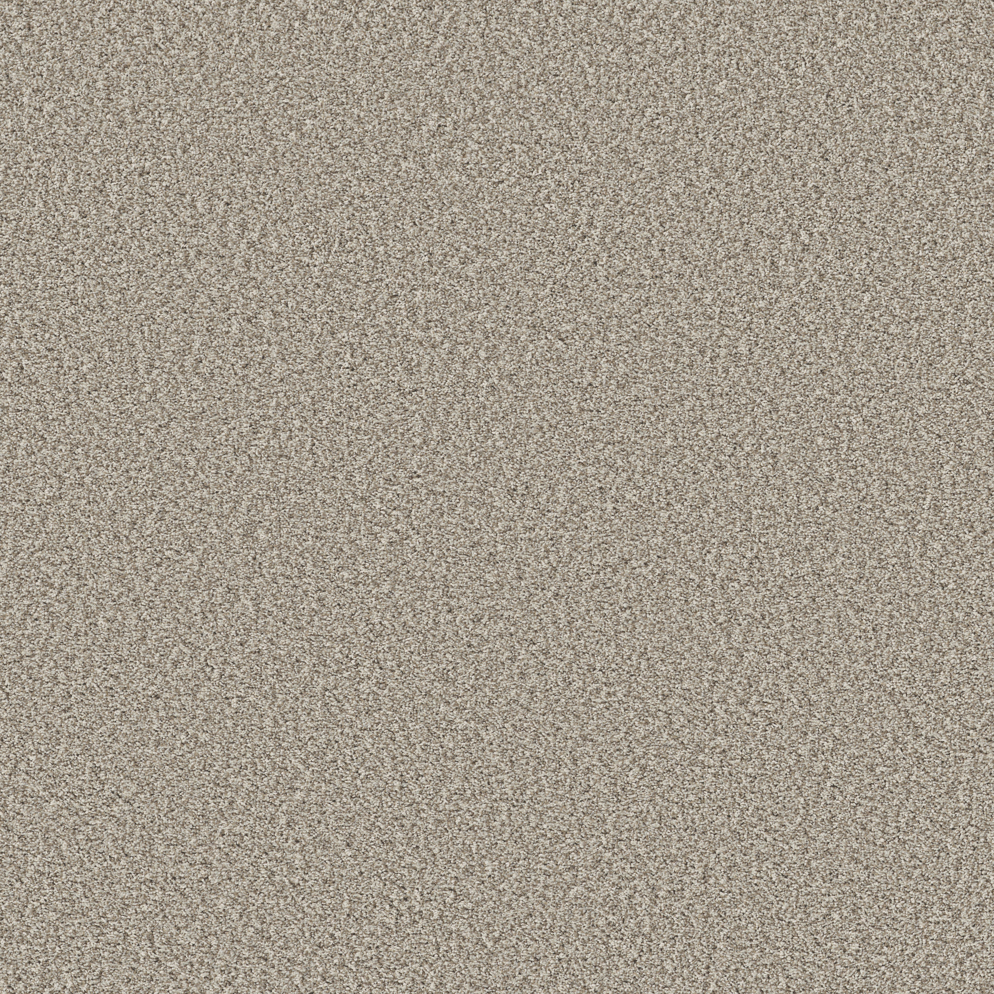 PRESCOTT VALLEY MISTY DAWN MAIN