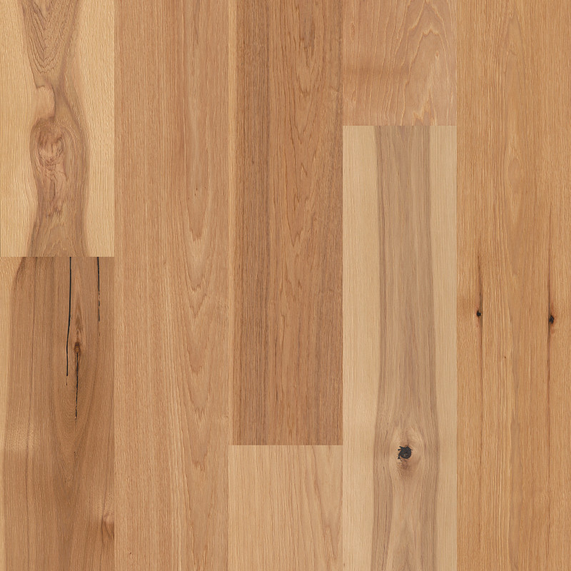 CASTLEWOOD HICKORY in Coat Of Arms by Shaw Floors