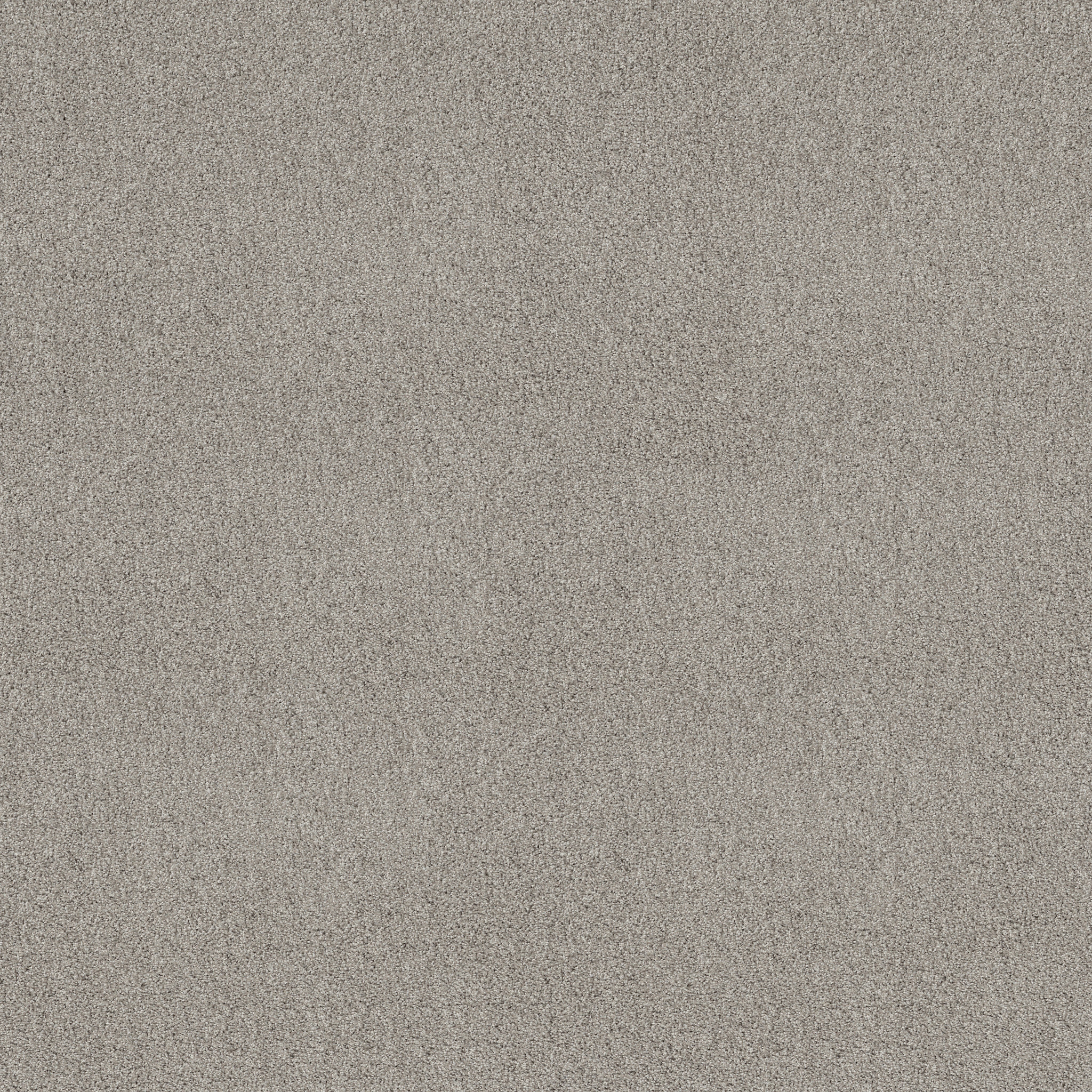 PARK HAVEN SILVER SCREEN MAIN