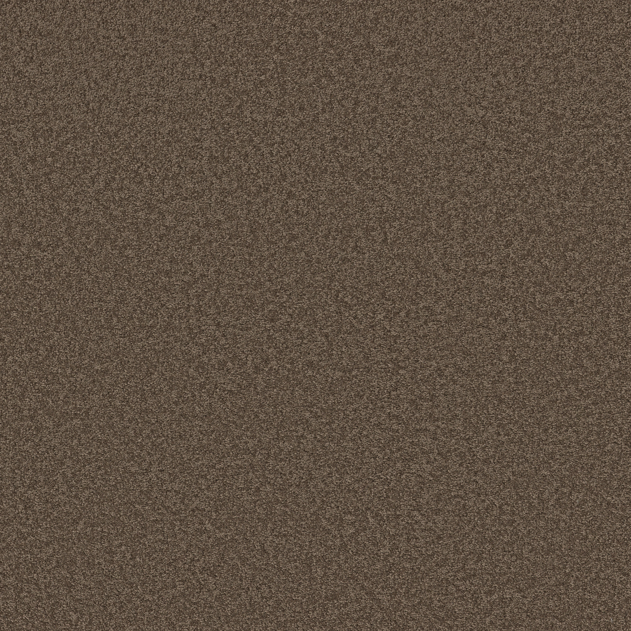 LAGUNA BEACH MAPLE MAIN