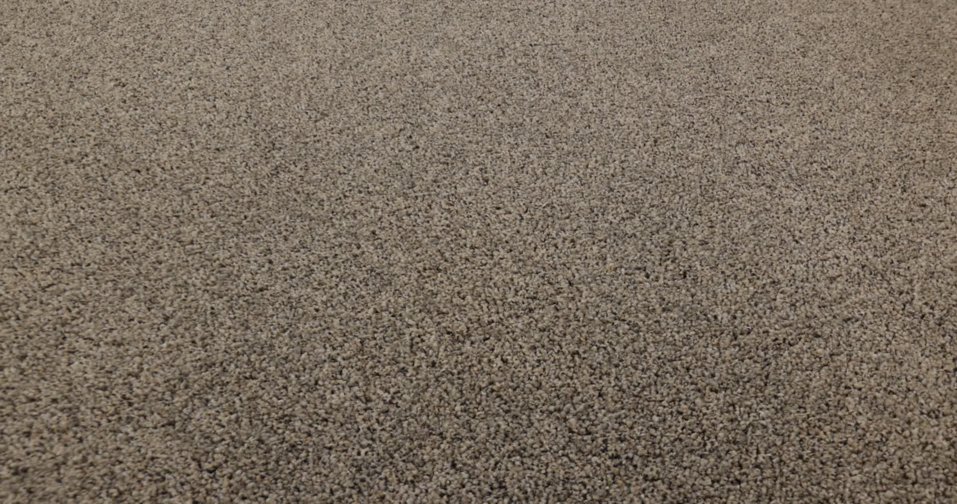 WONDERLAND III 12' SLATE 360PROD