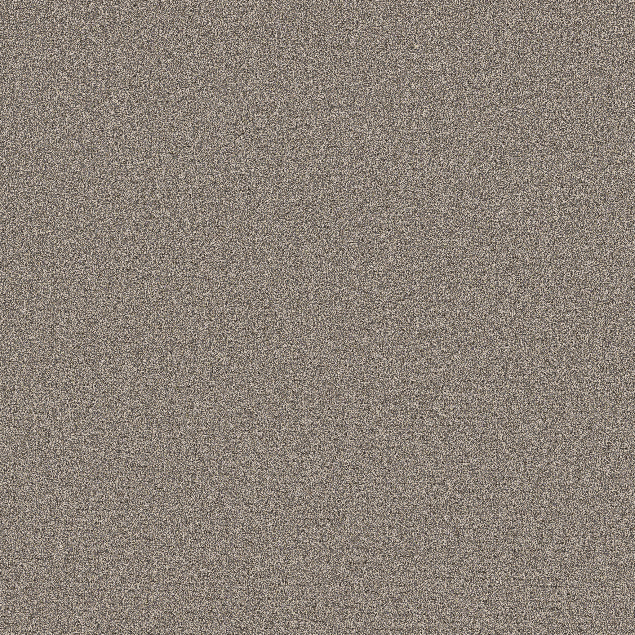 Secret Journey - Shadows Carpet | Shaw Floors