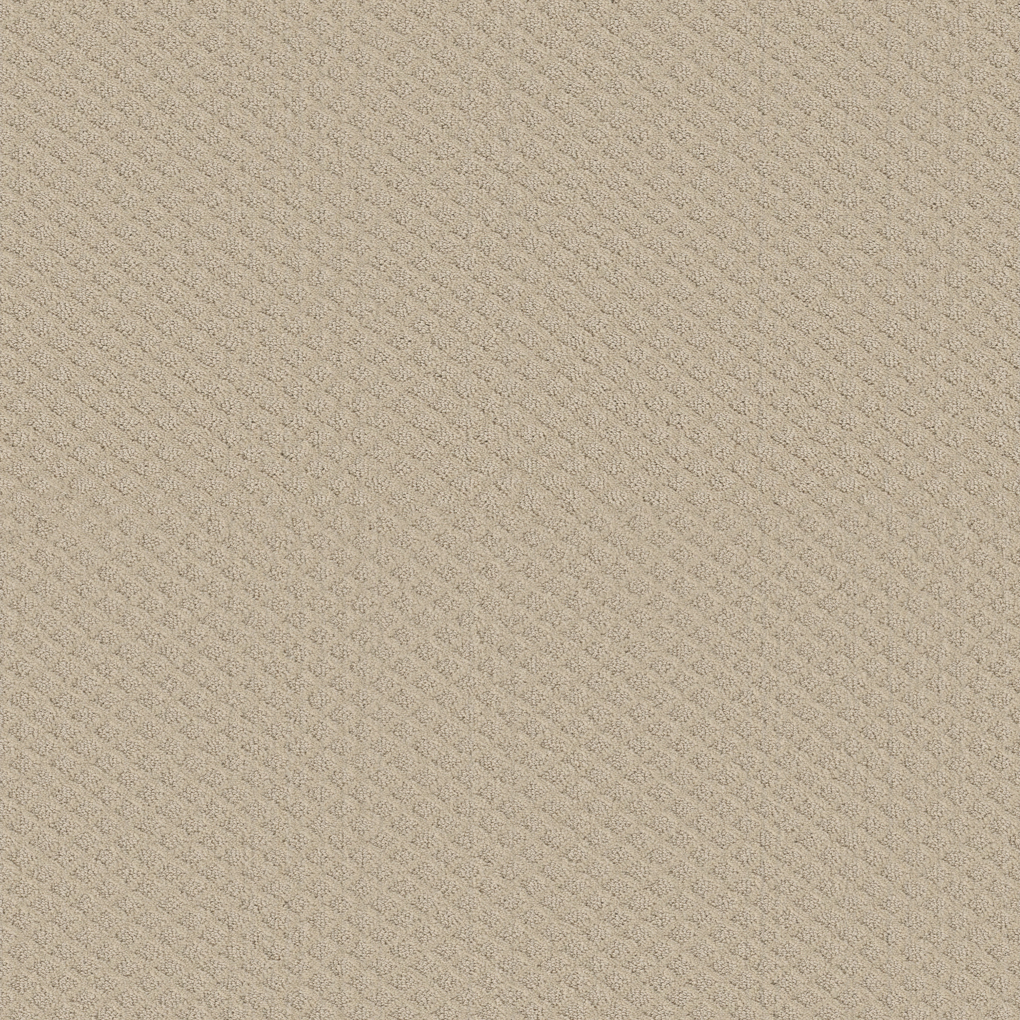 GO BEYOND CANVAS MAIN