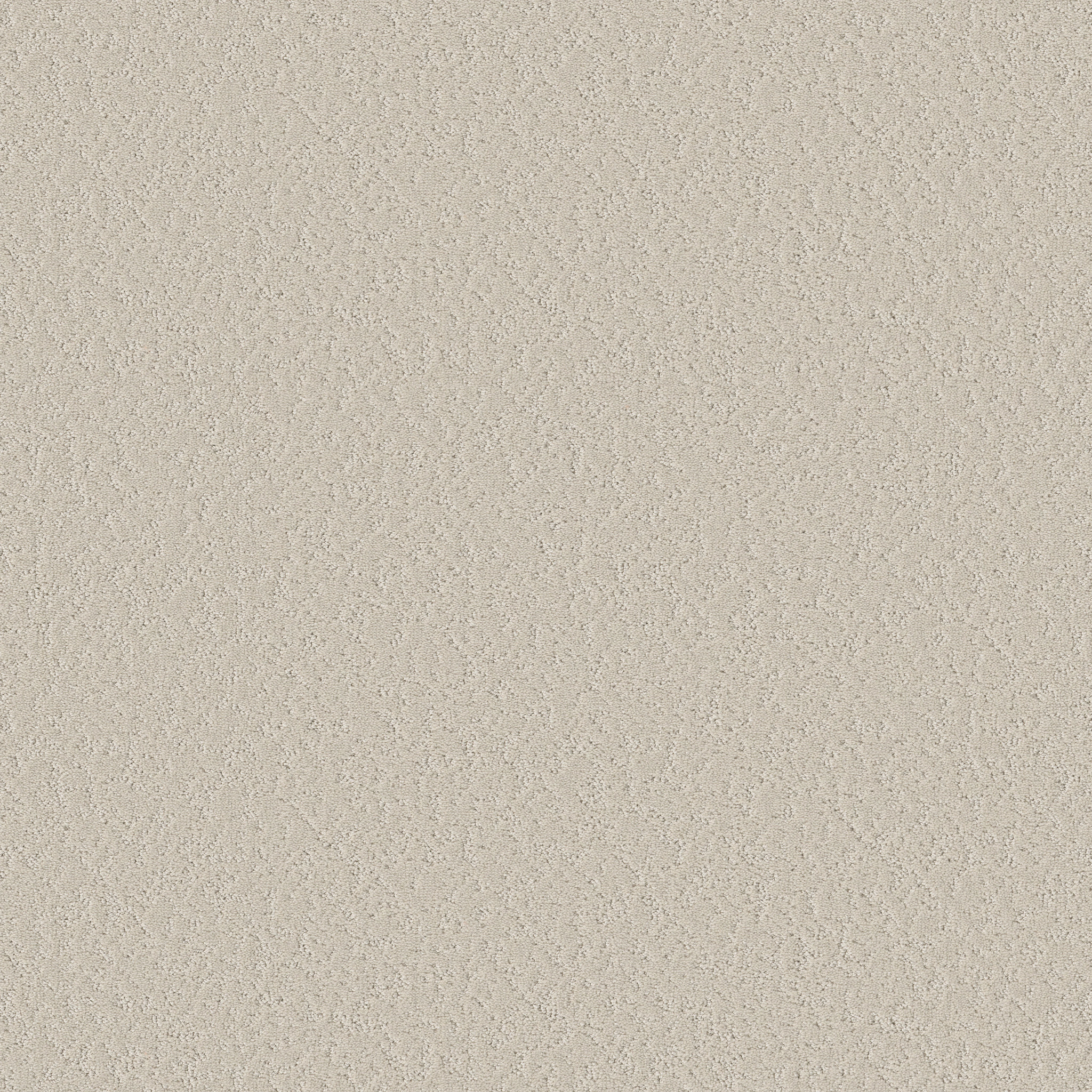 CLEVER CHOICE SCOTCH MIST MAIN