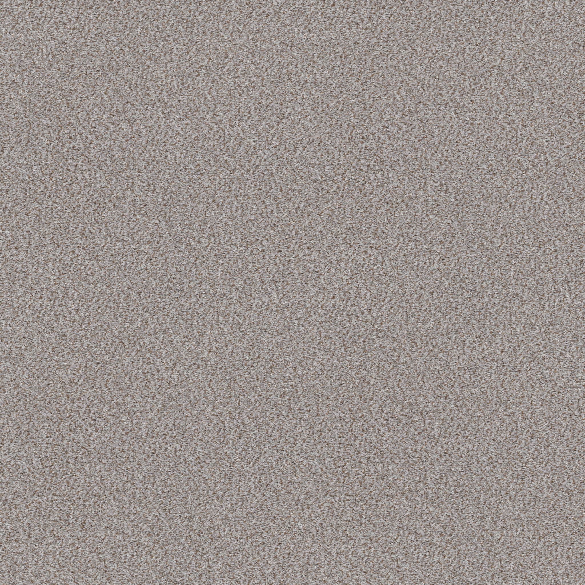 CABANA LIFE (B) WINTER MAIN