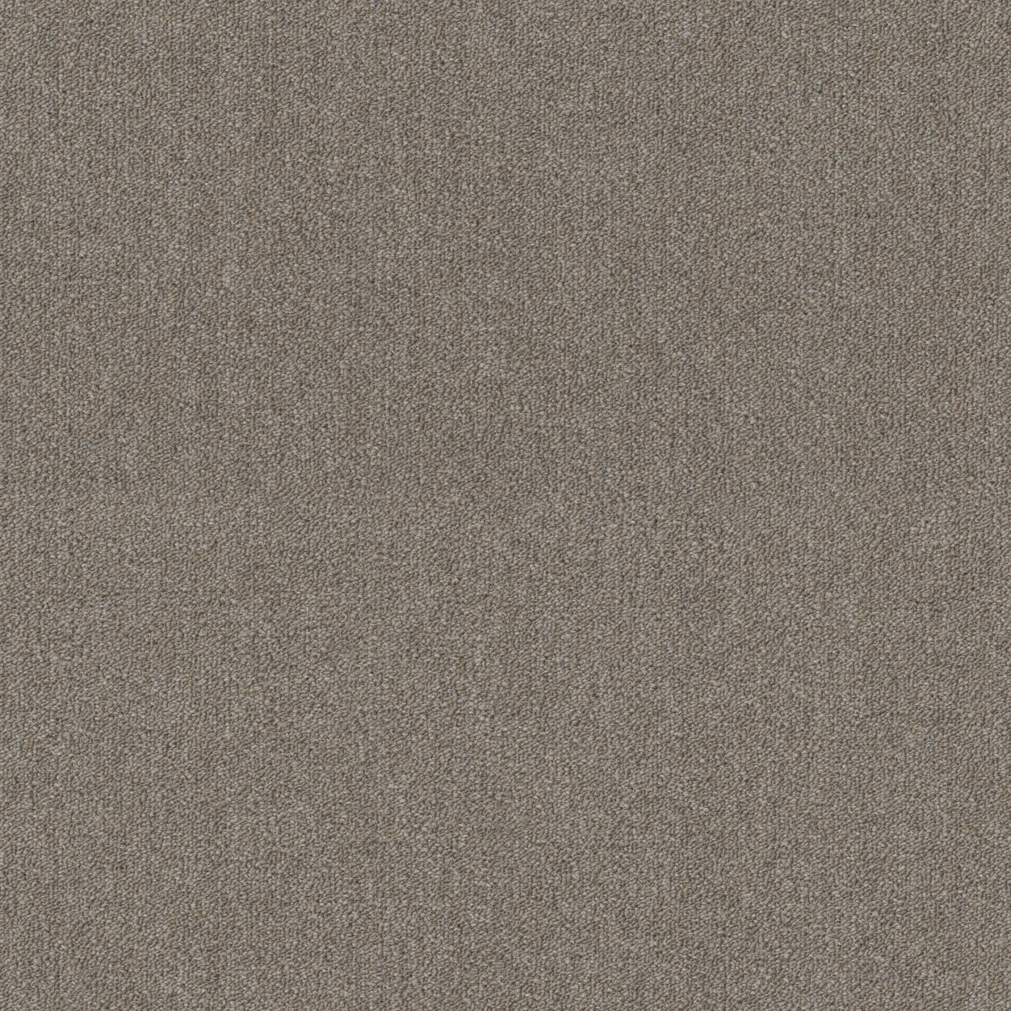 PROFUSION 20 54933 MASSES 00200 main image