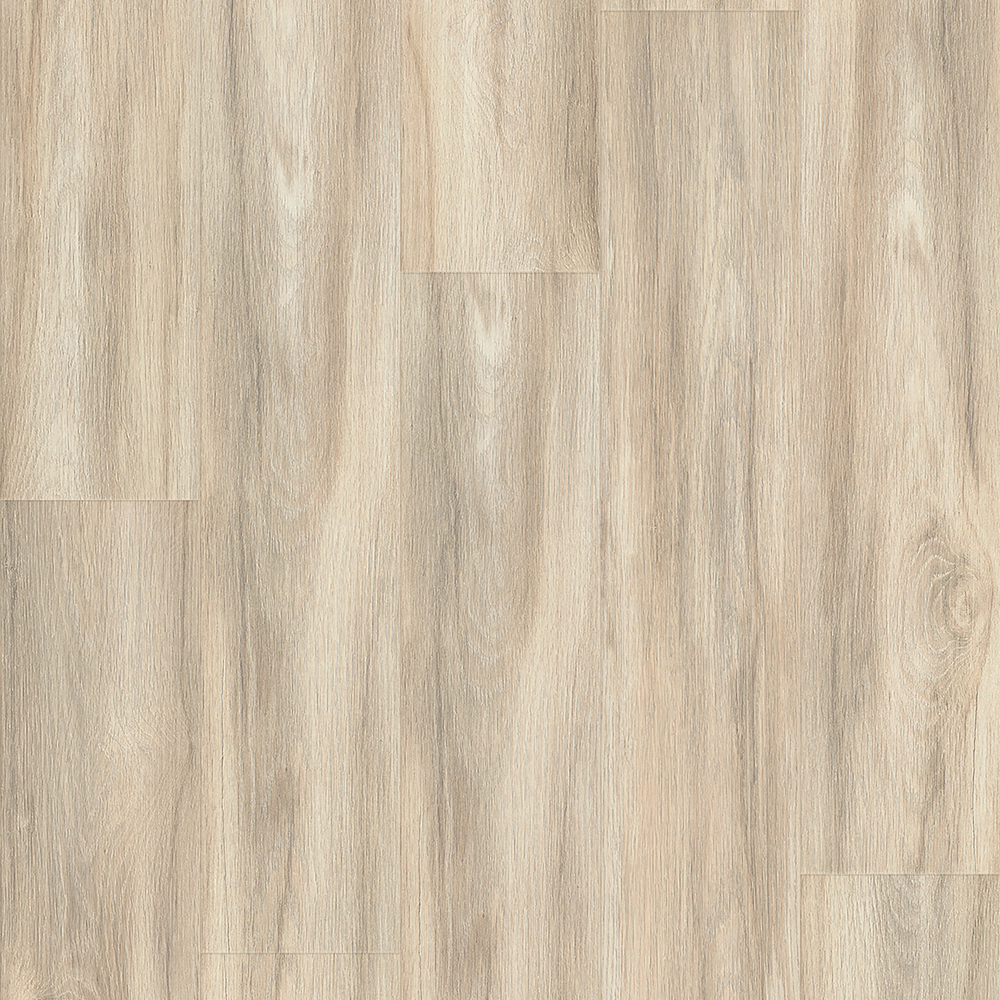 MAUKA TO MAKAI KAILUA OAK MAIN