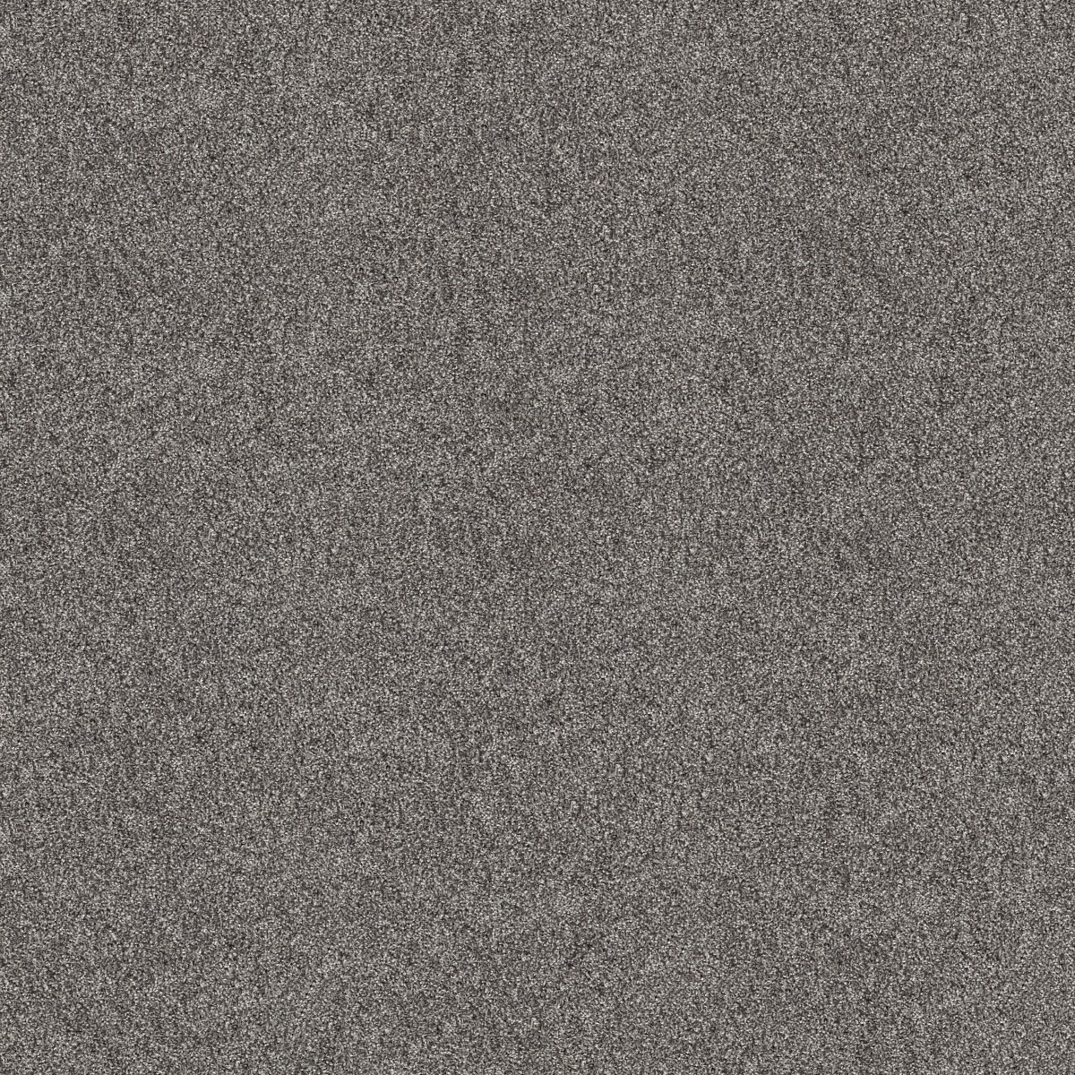 Shaw Floors GRAND OUTLOOK — AIRCRAFT