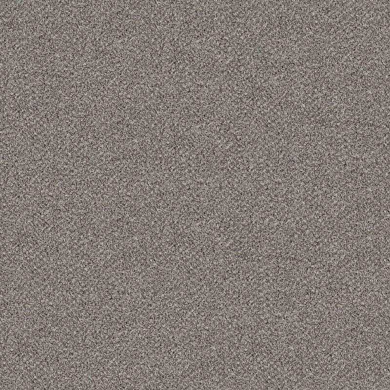 BREAK FREE in Stonegate by Shaw Floors