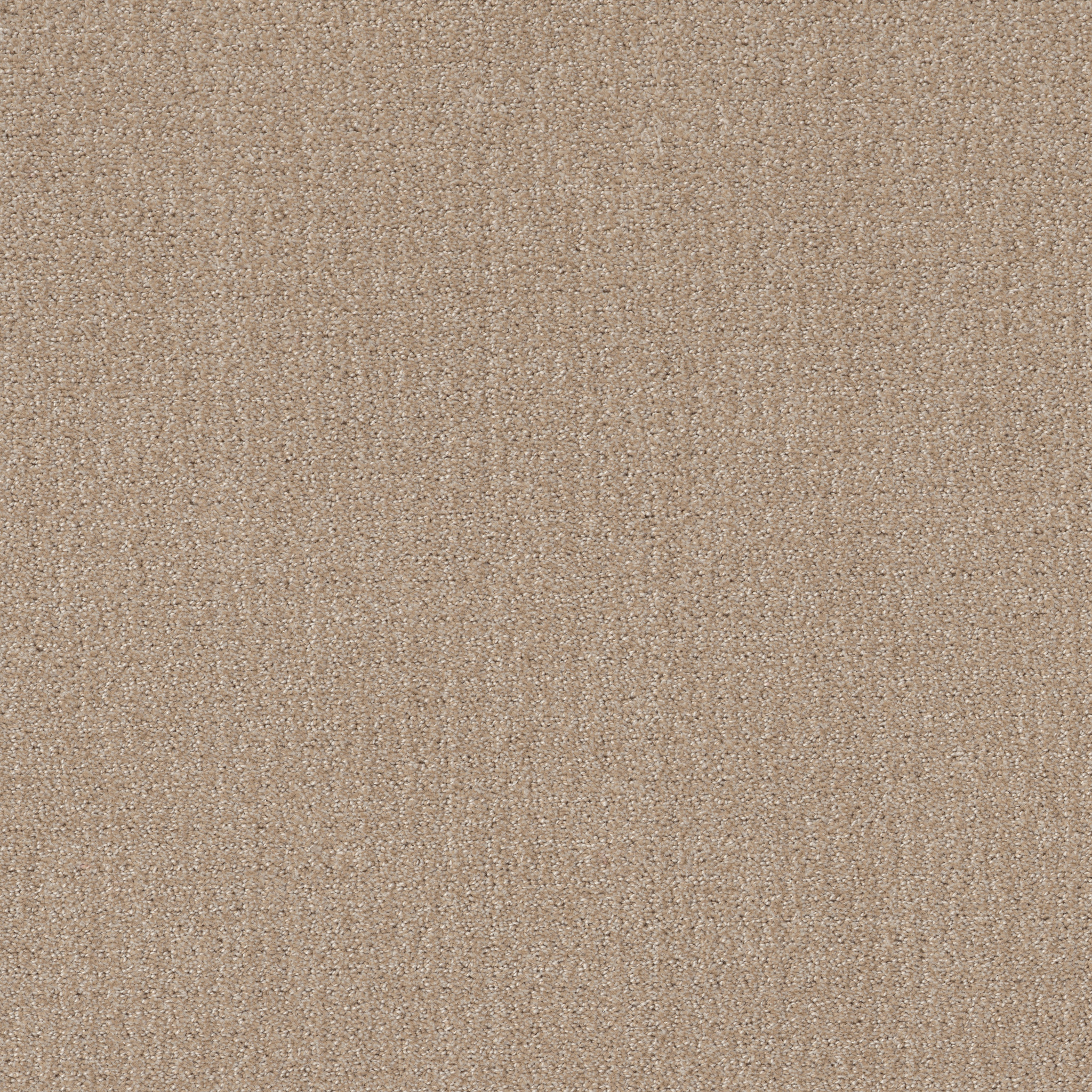 TRANSLATE FRESH BAKED MAIN