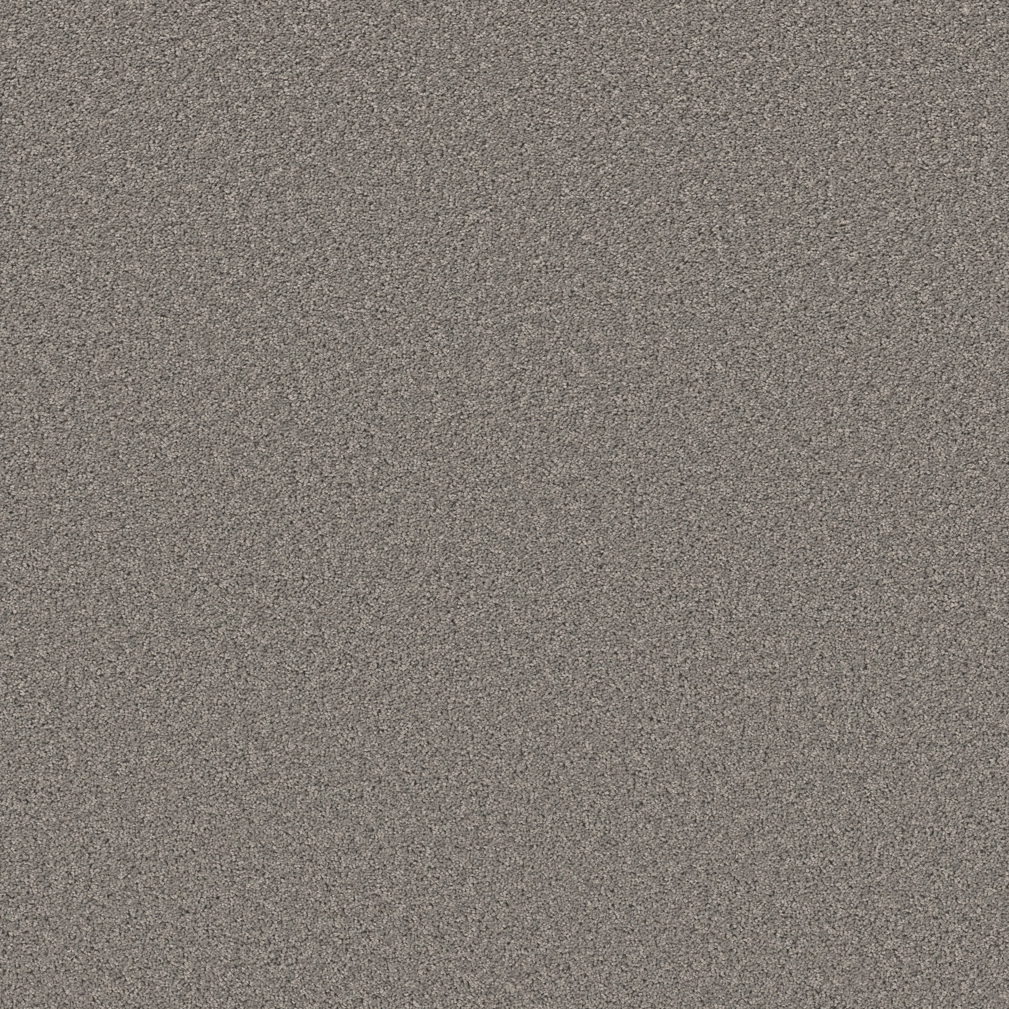 High Ranking - Solid SKYLINE MAIN