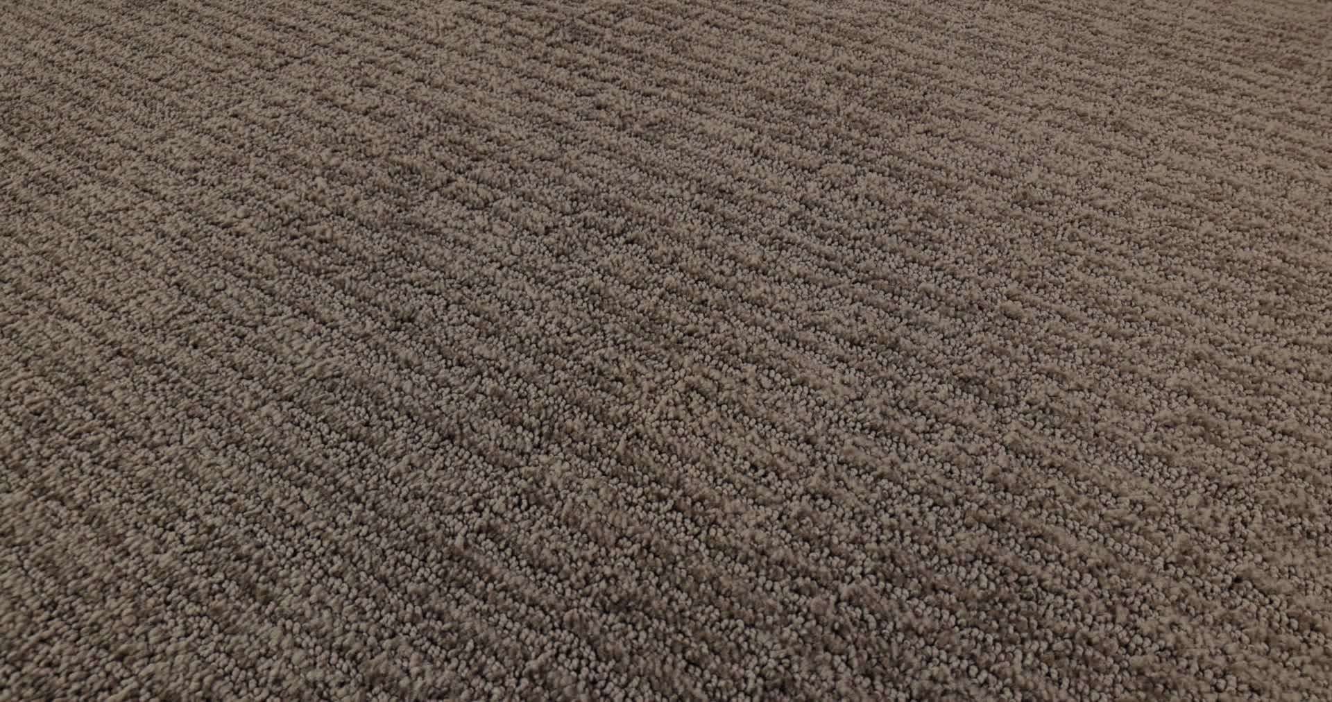 WANDERER MUSTANG 360PROD