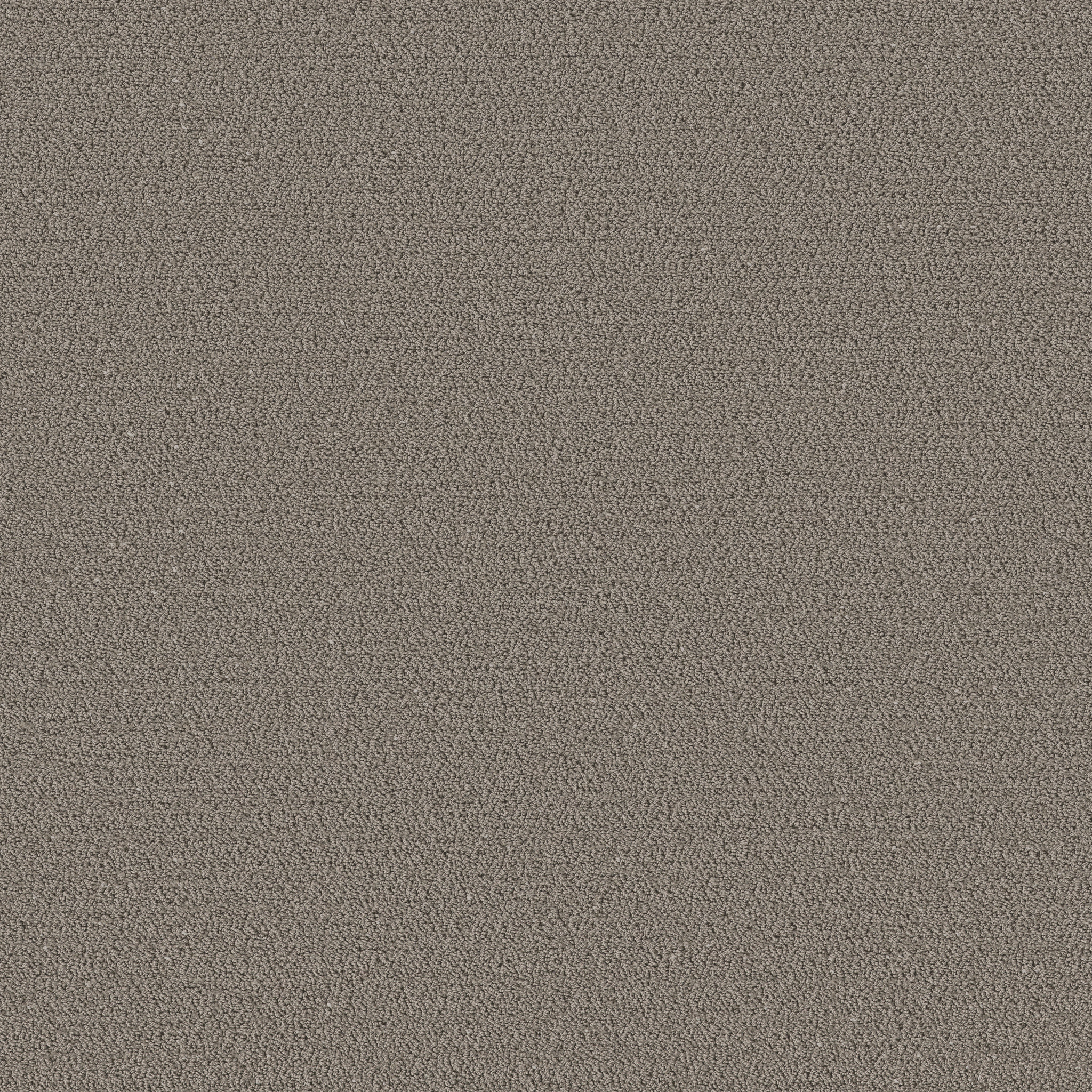 Intricate Trace ASHES MAIN