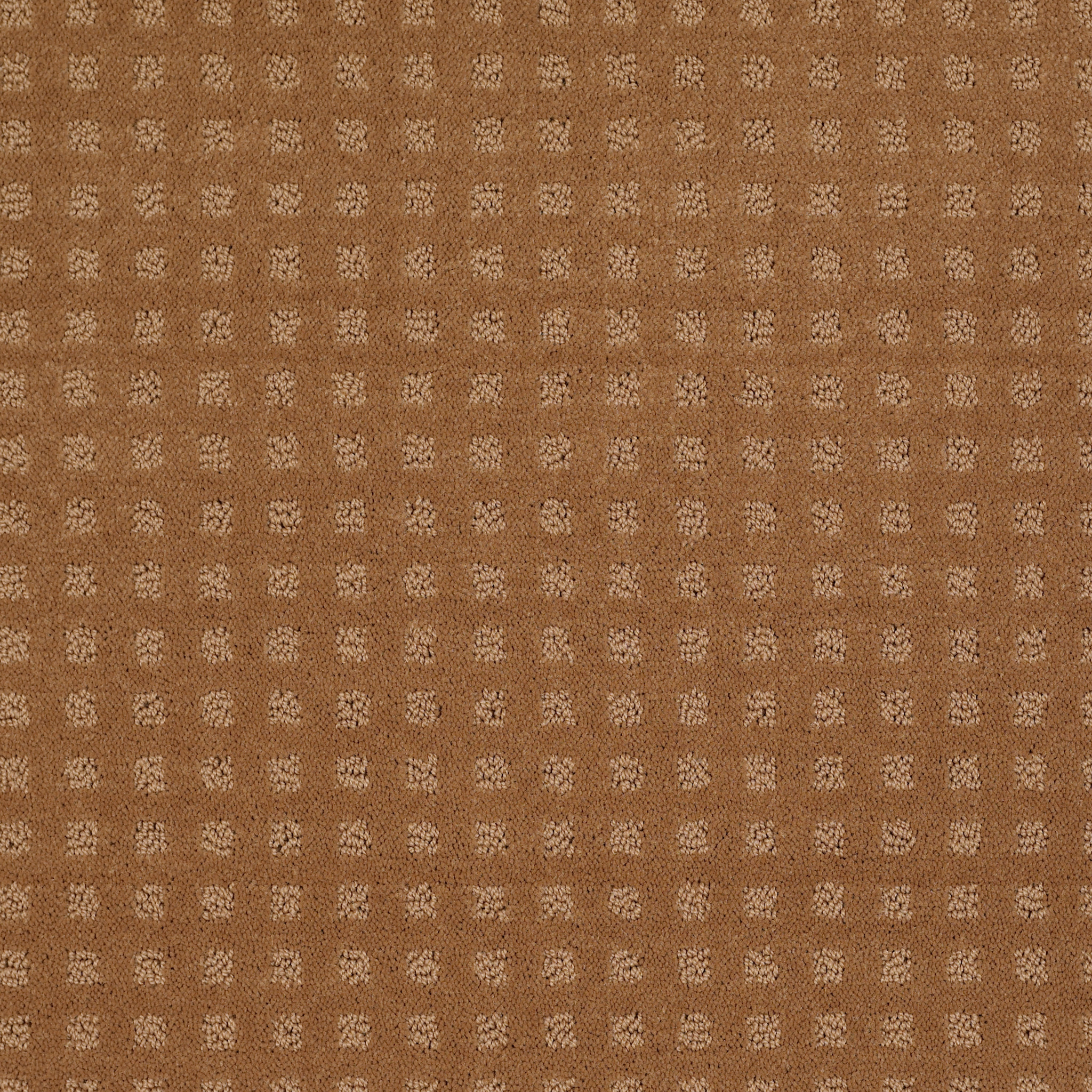 STYLE WITH EASE GOLD COIN MAIN