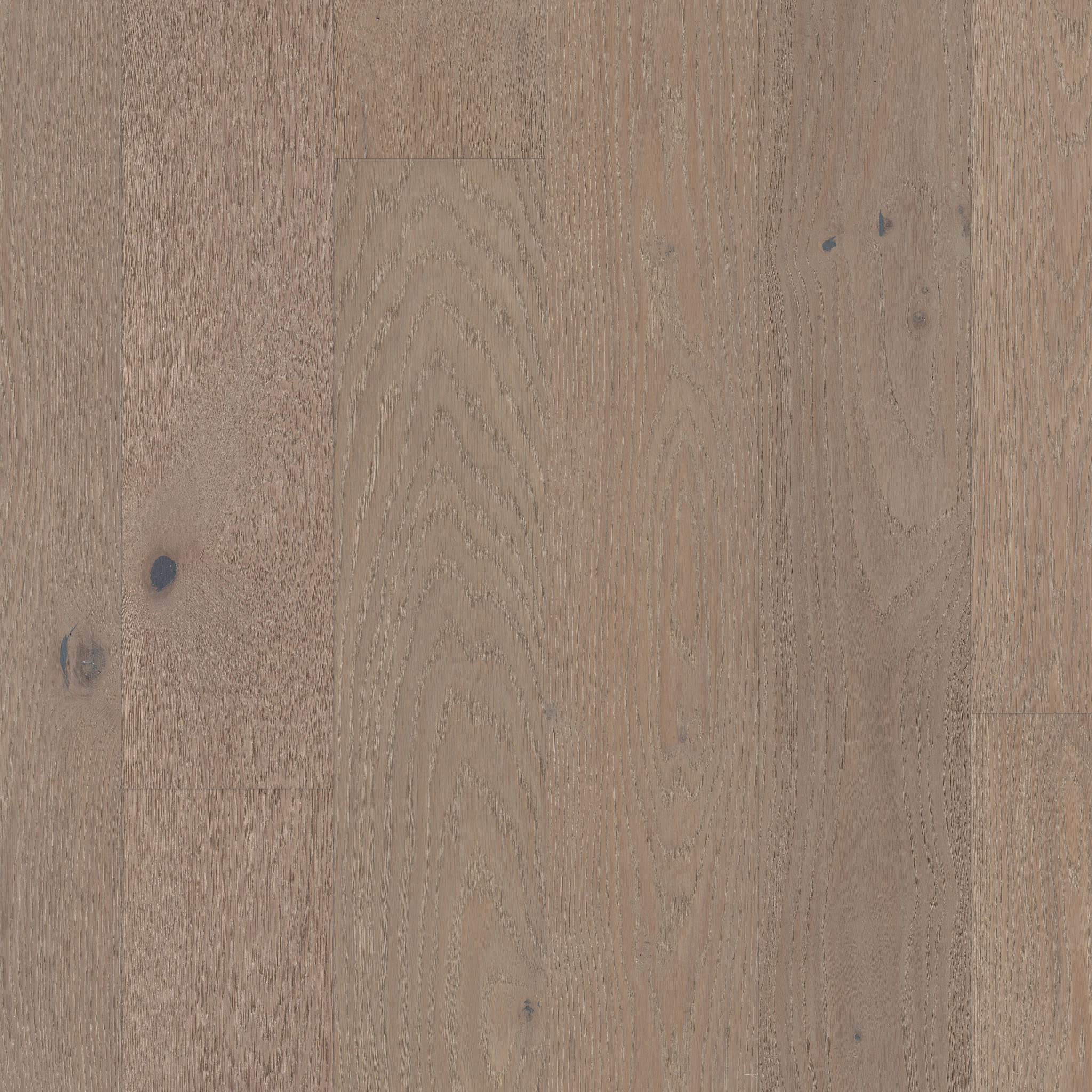 ENSEMBLE ATELIER MAIN