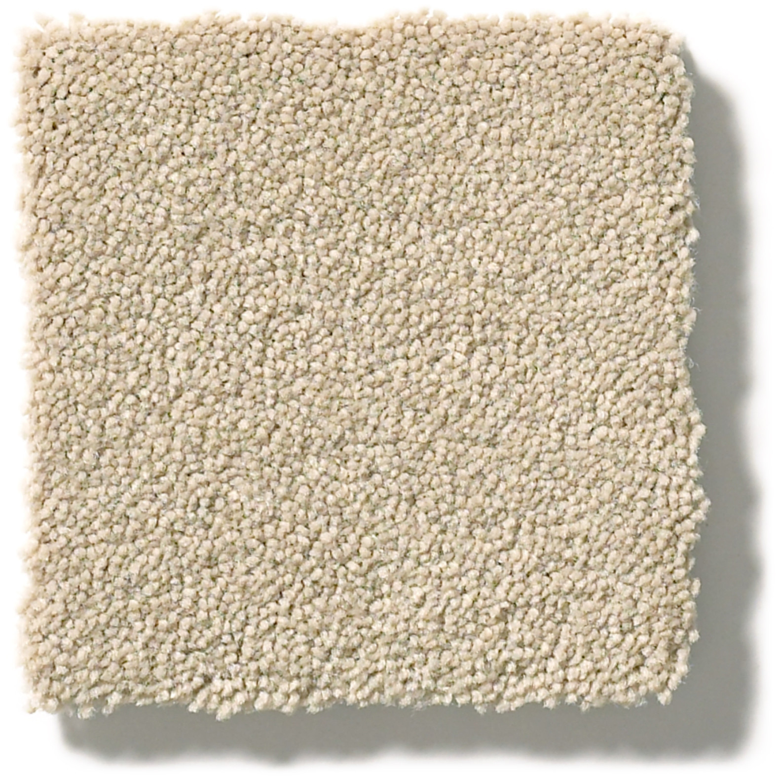 PERFECT CHOICE MEDITATION SWATCH