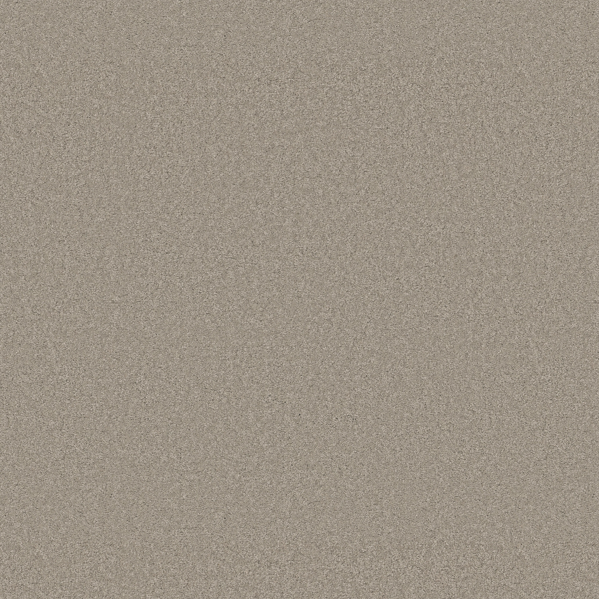 ELEGANT BEAUTY STRING MAIN