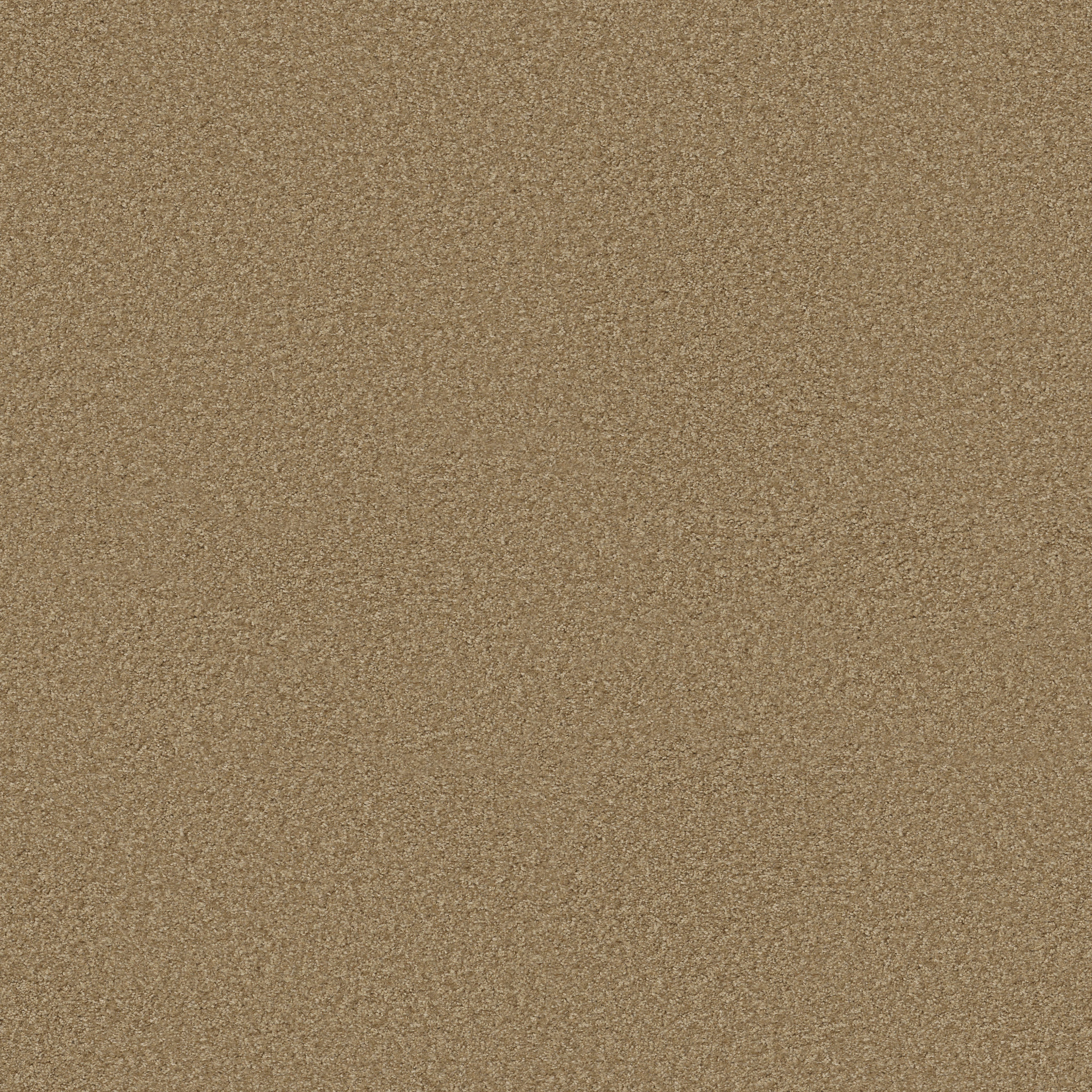 VITALIZE (S) 12' WICKER MAIN