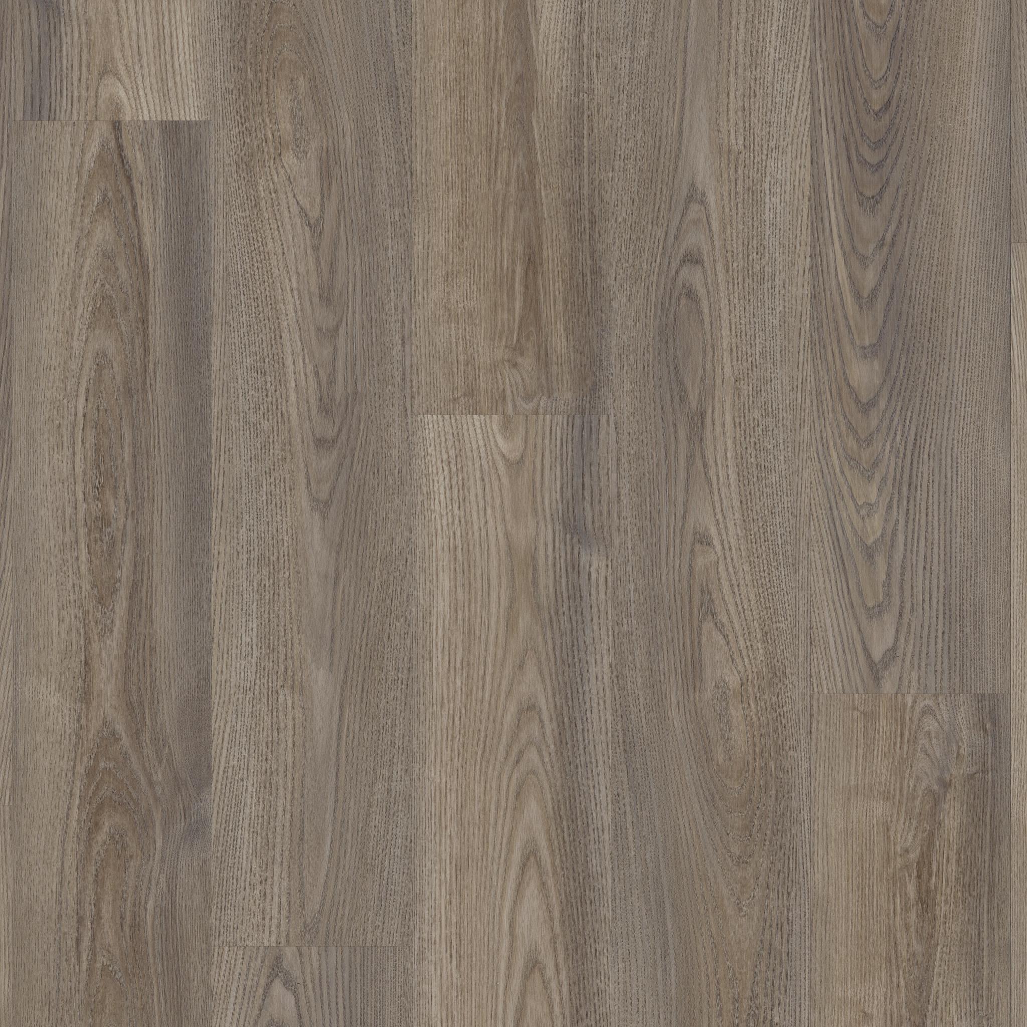 Anvil Plus in Grey Chestnut