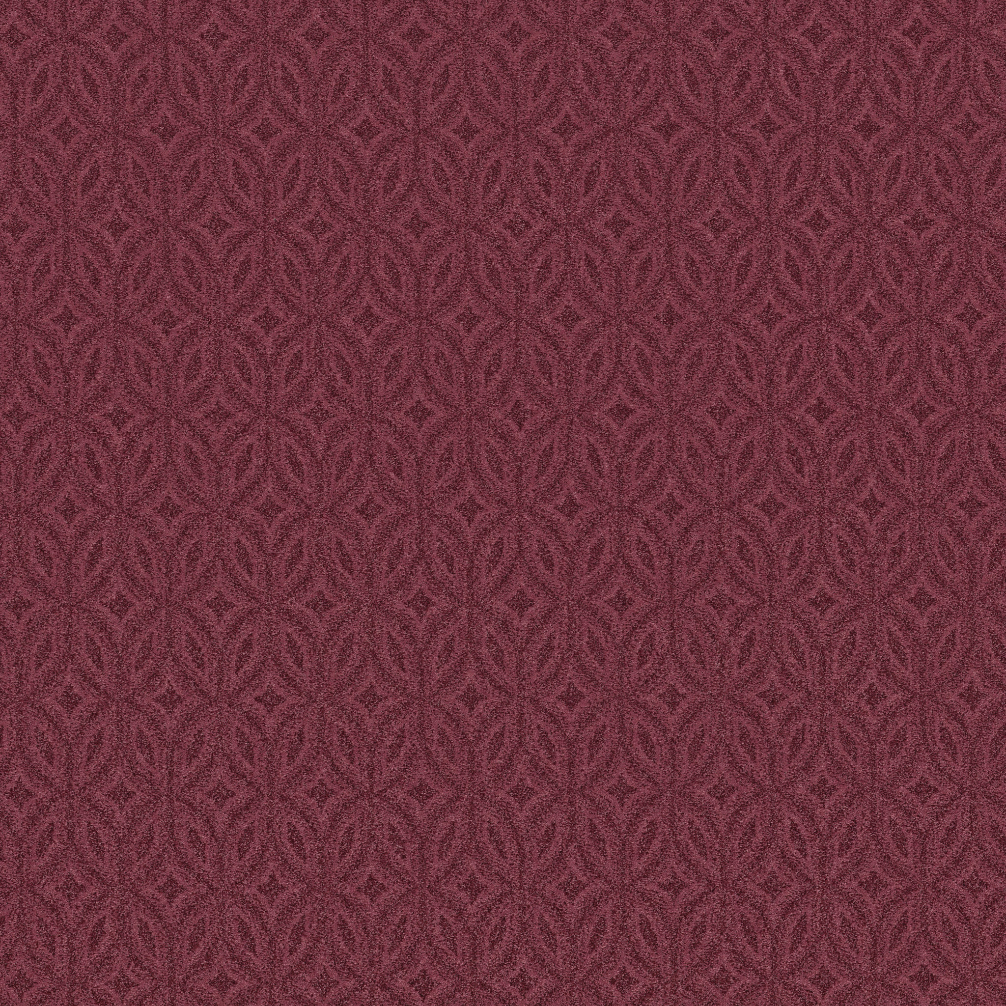 ENLIGHTENED MIXED BERRIES MAIN