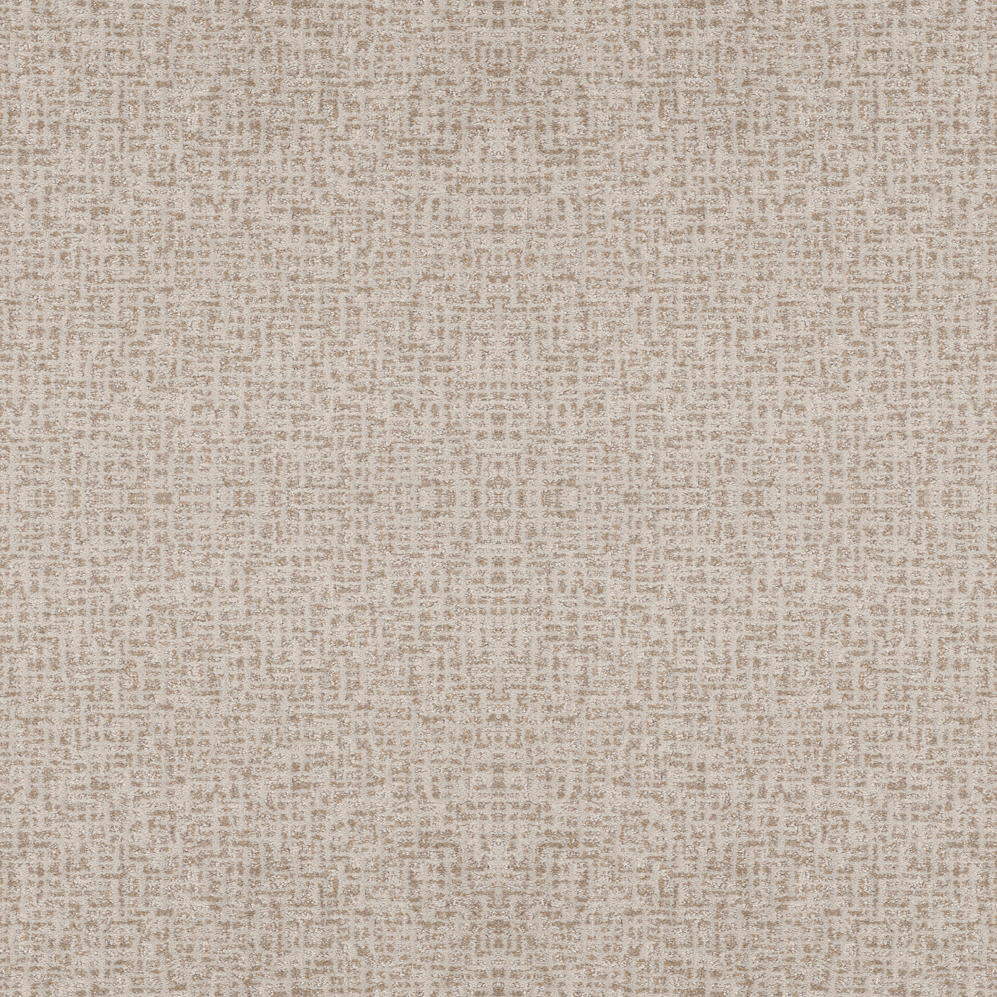 CABOODLE BALANCED MAIN