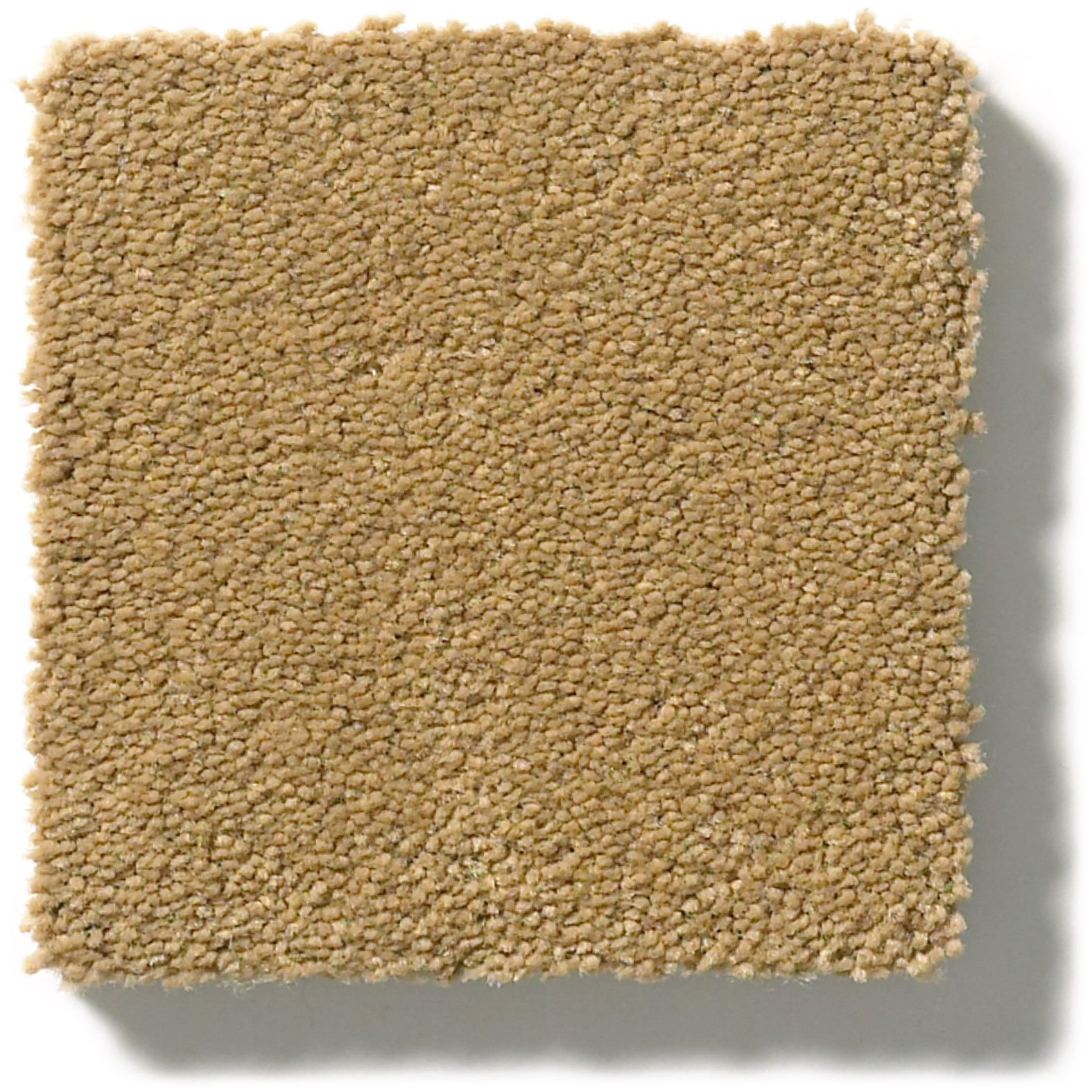 PERFECT CHOICE BARLEY SWATCH