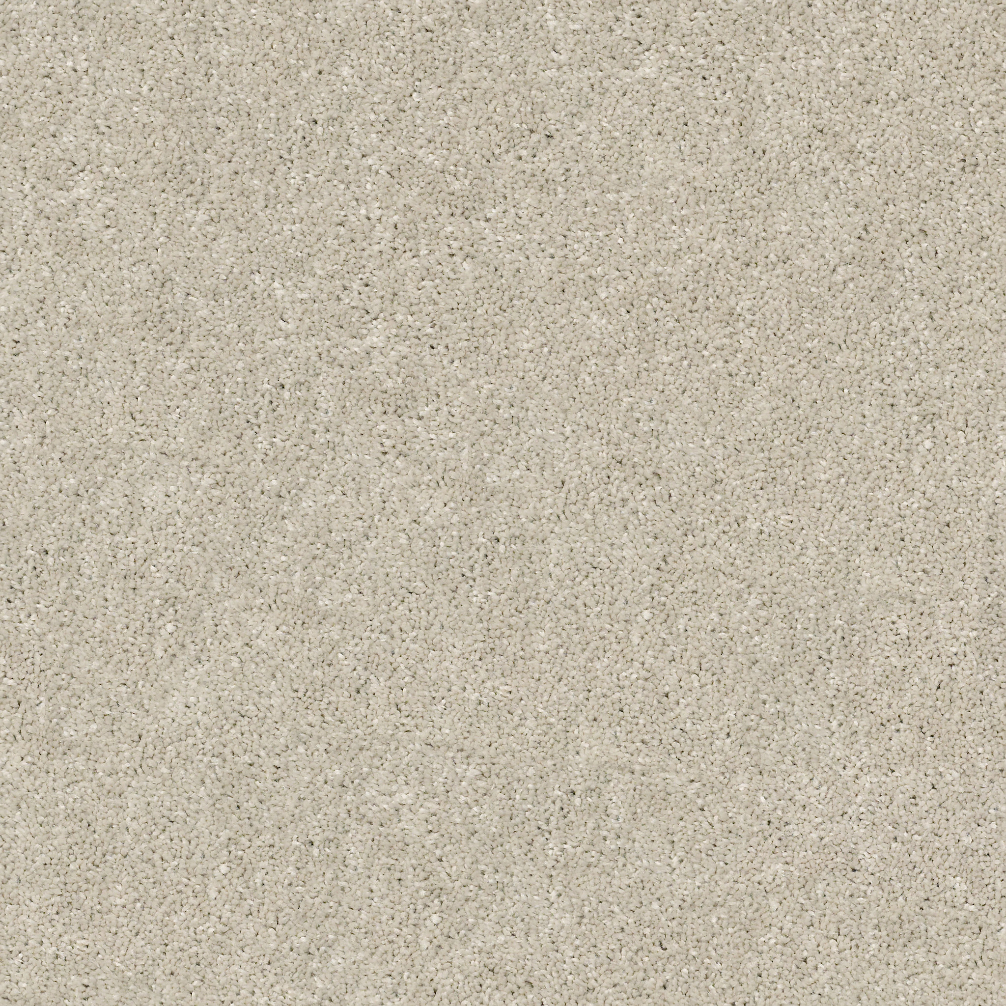 AFTER ALL I BIRD HOUSE MAIN